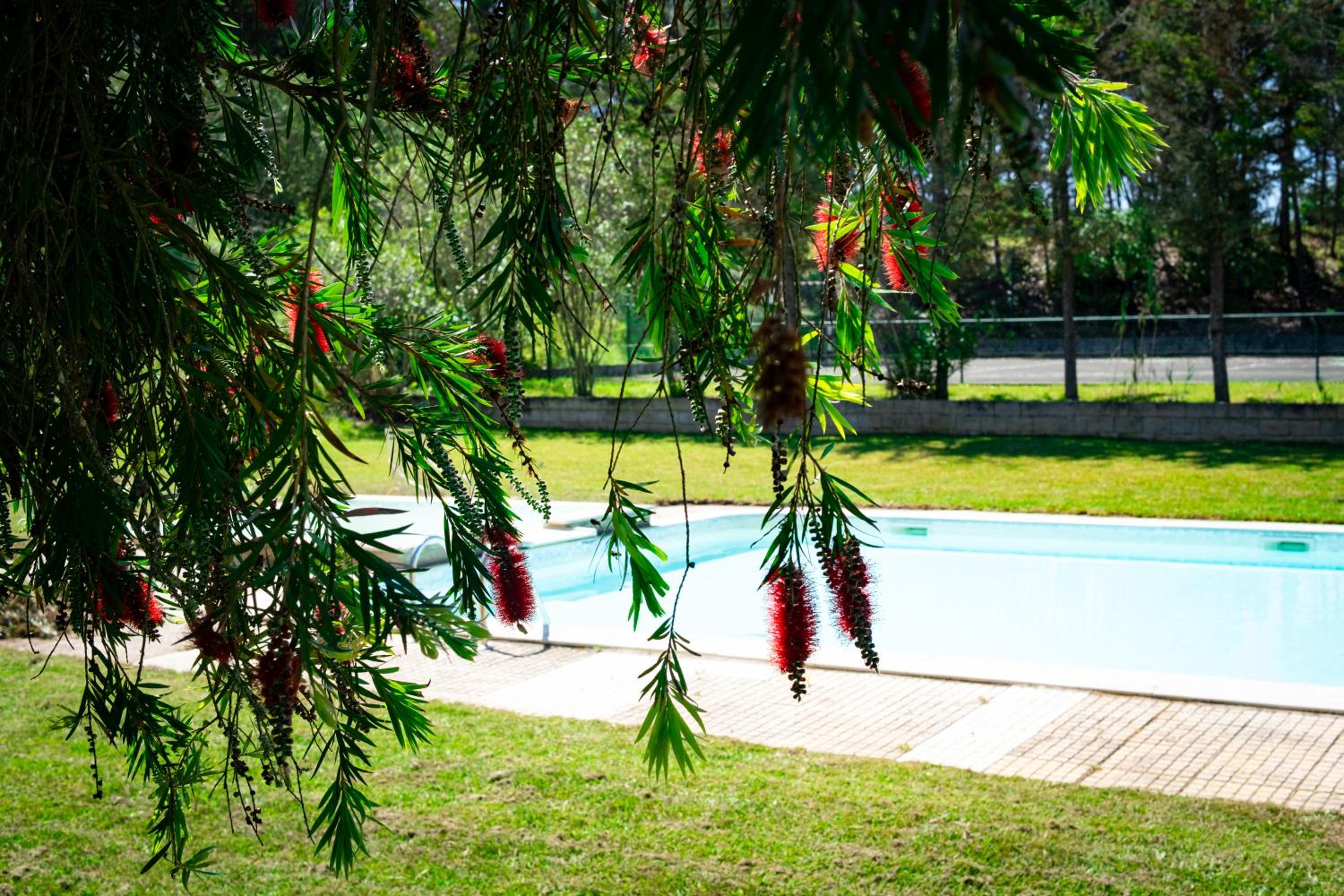 Hotel Rural Quinta do Juncal