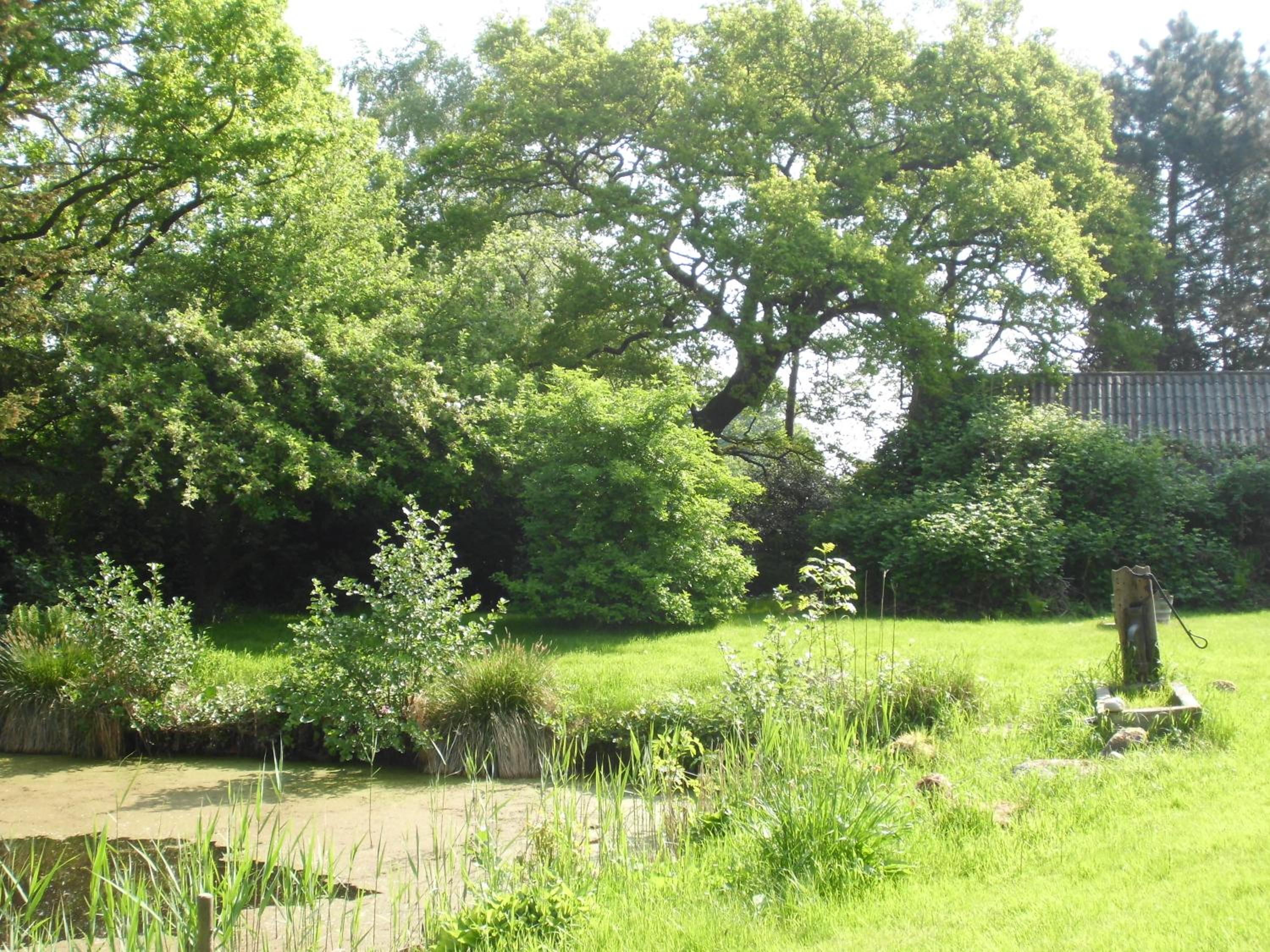 Landhaustraum unter Reet am Jadebusen