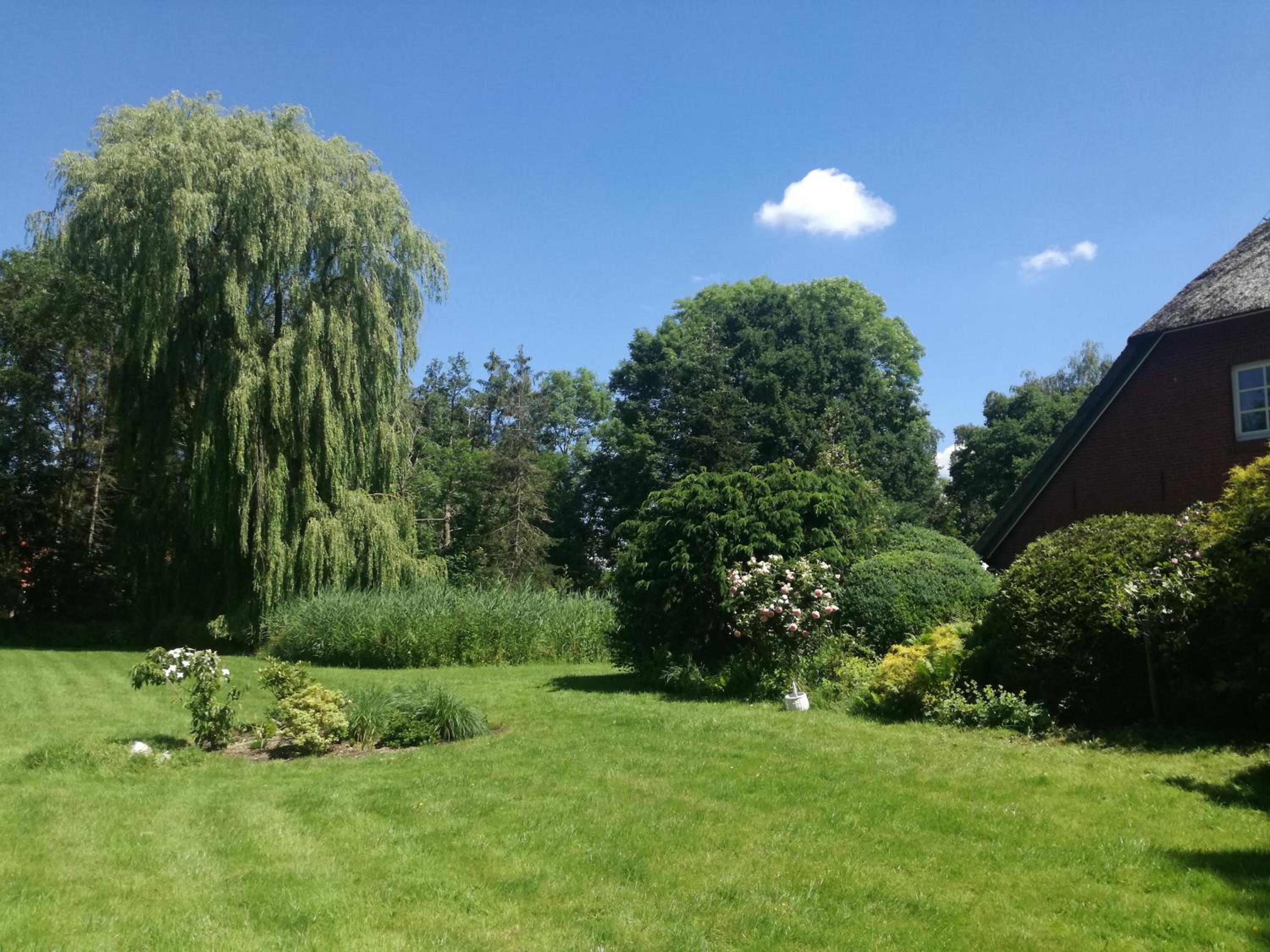 Landhaustraum unter Reet am Jadebusen