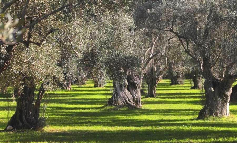 Filoxenia House Marousi -private parking-