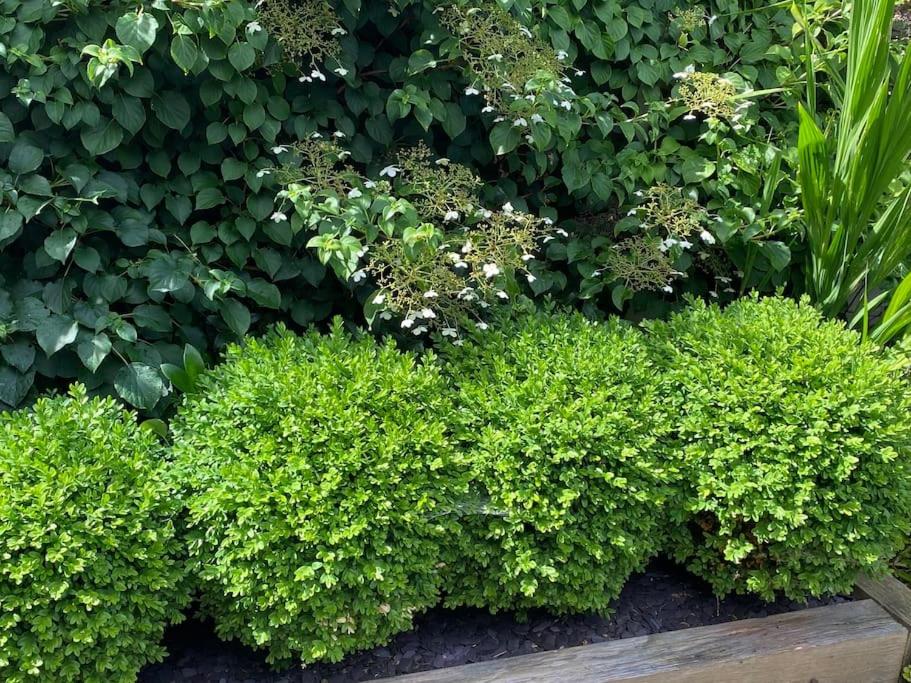 Photo 103