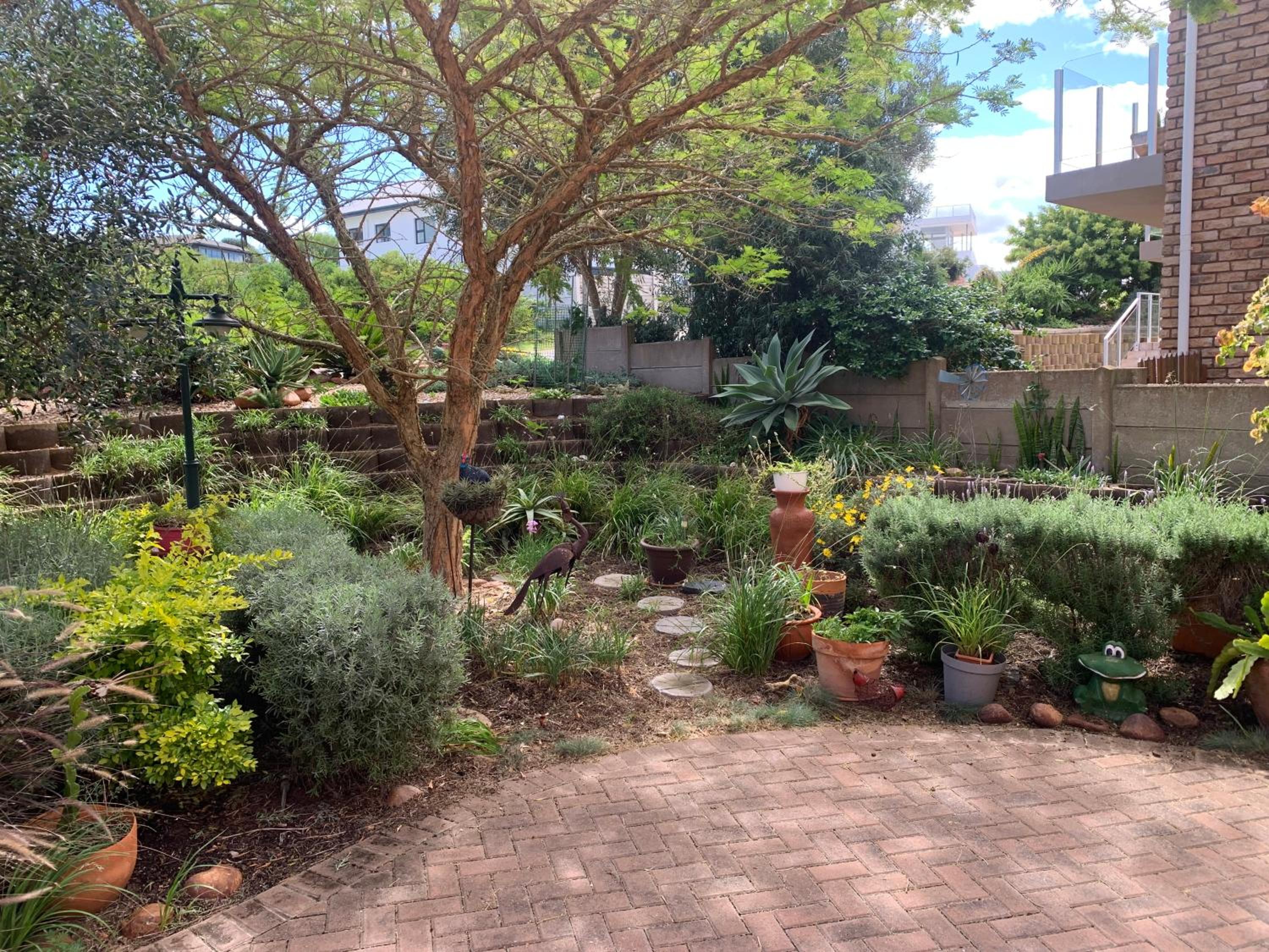 The Owl House view 4