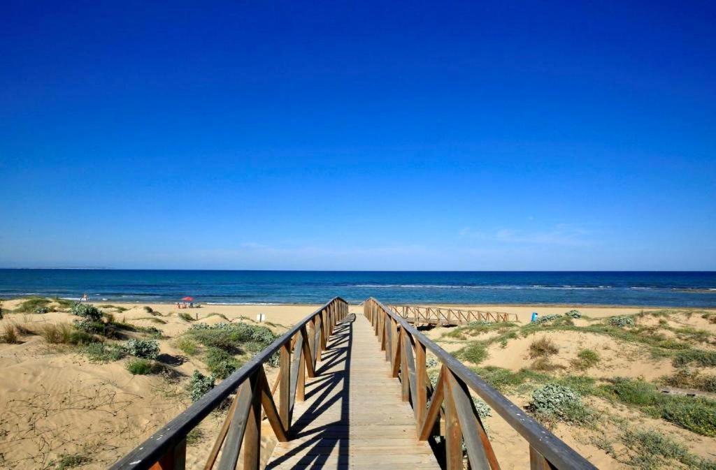 Solarium Escape with private roof terrace and pool access Torrevieja