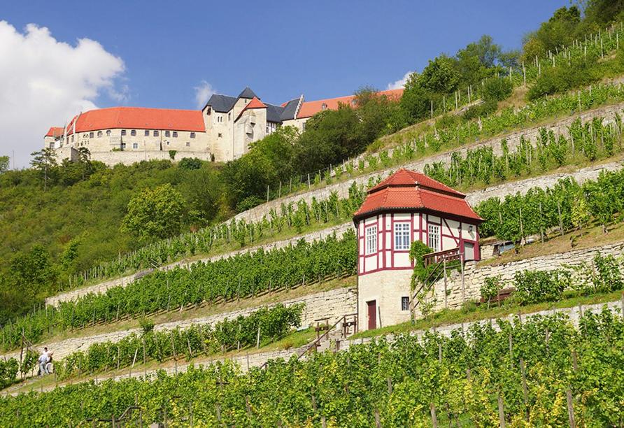 Ferienhaus Herztor