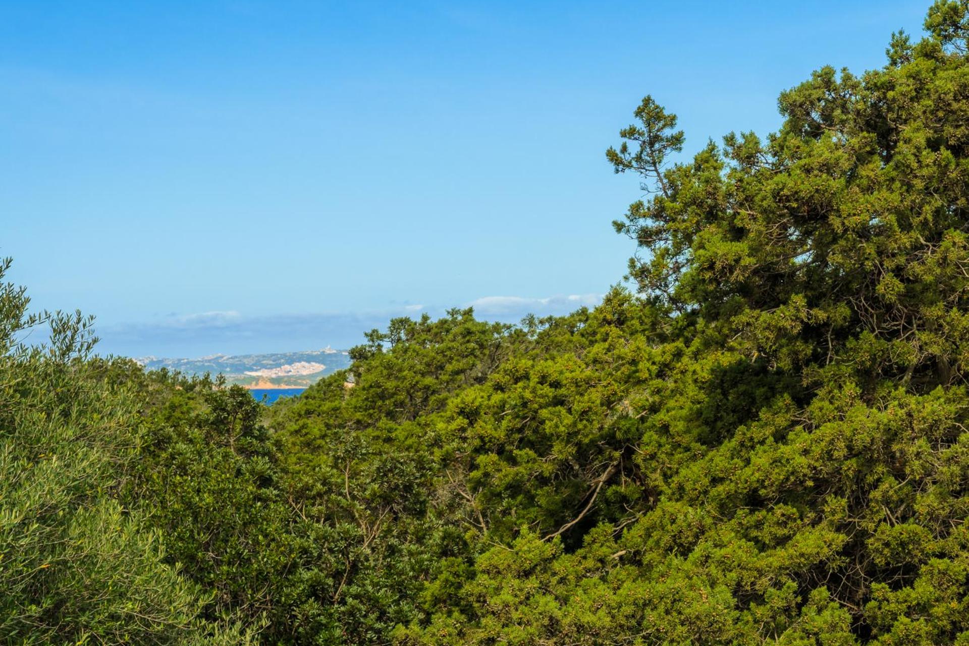 Private Villa ORIONE