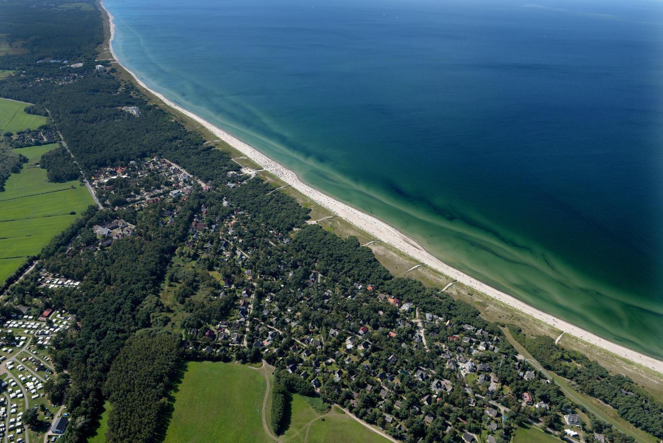 Bickbeerenstrand