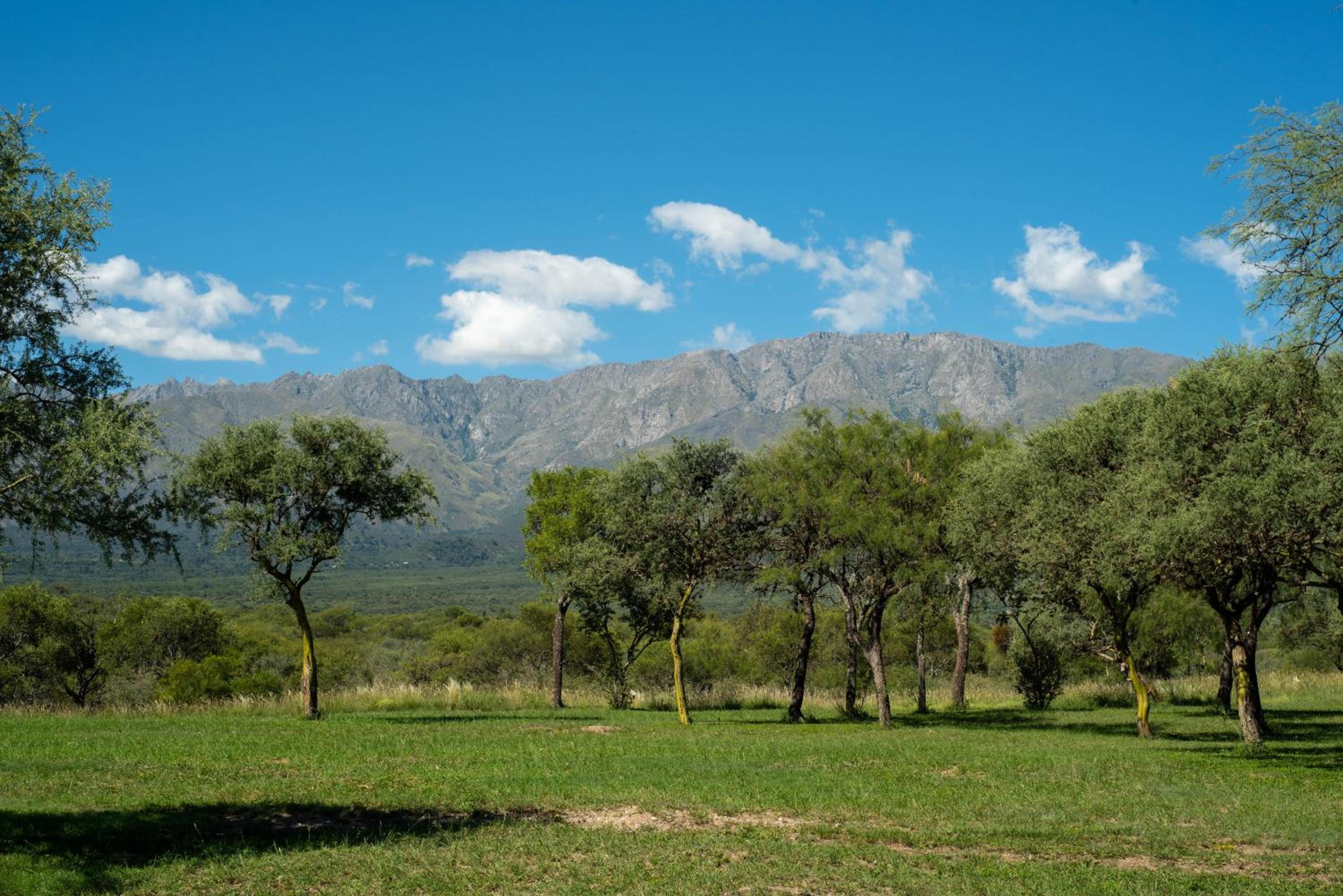 Brisas de Chacras