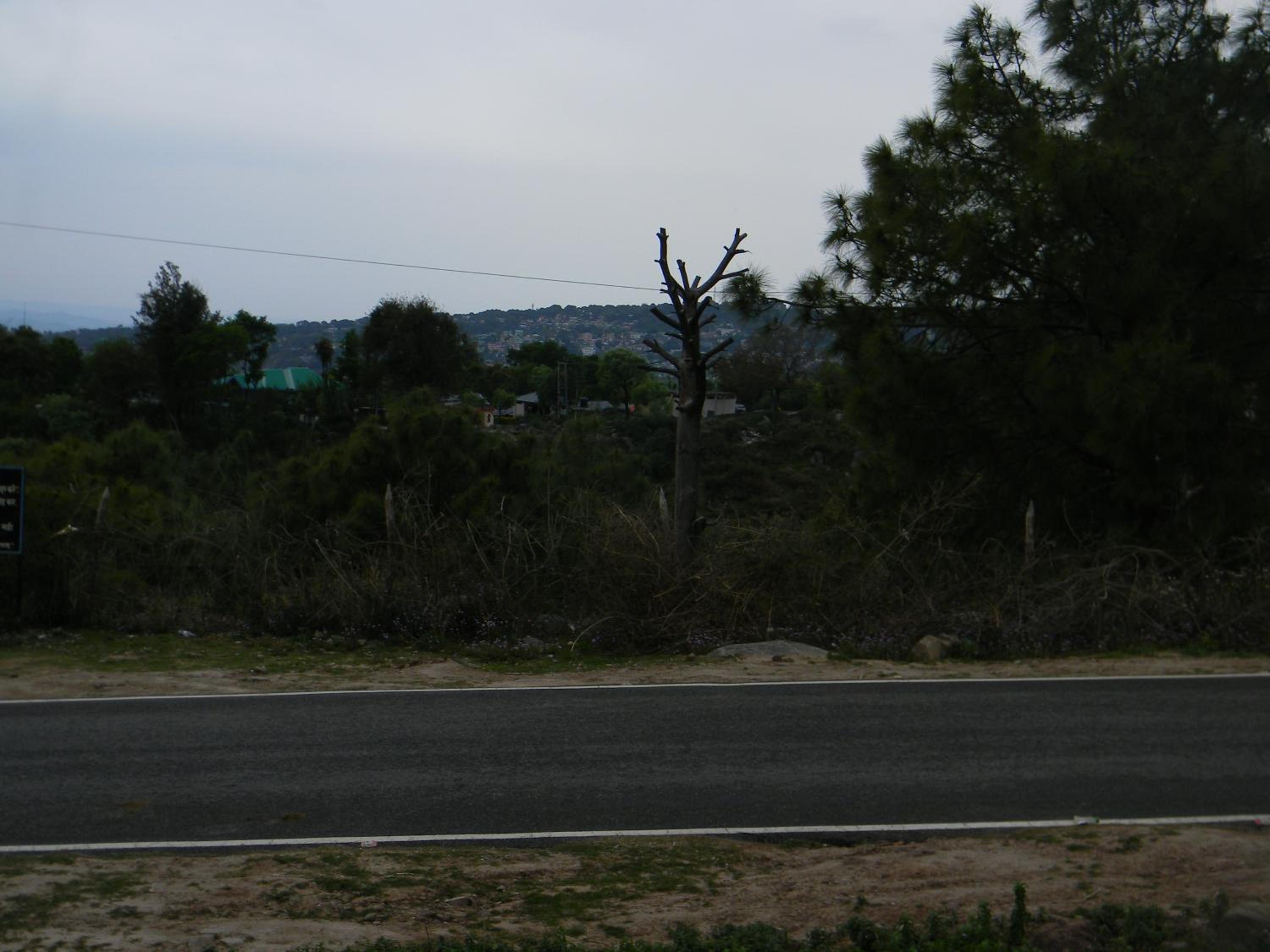 Photo 21