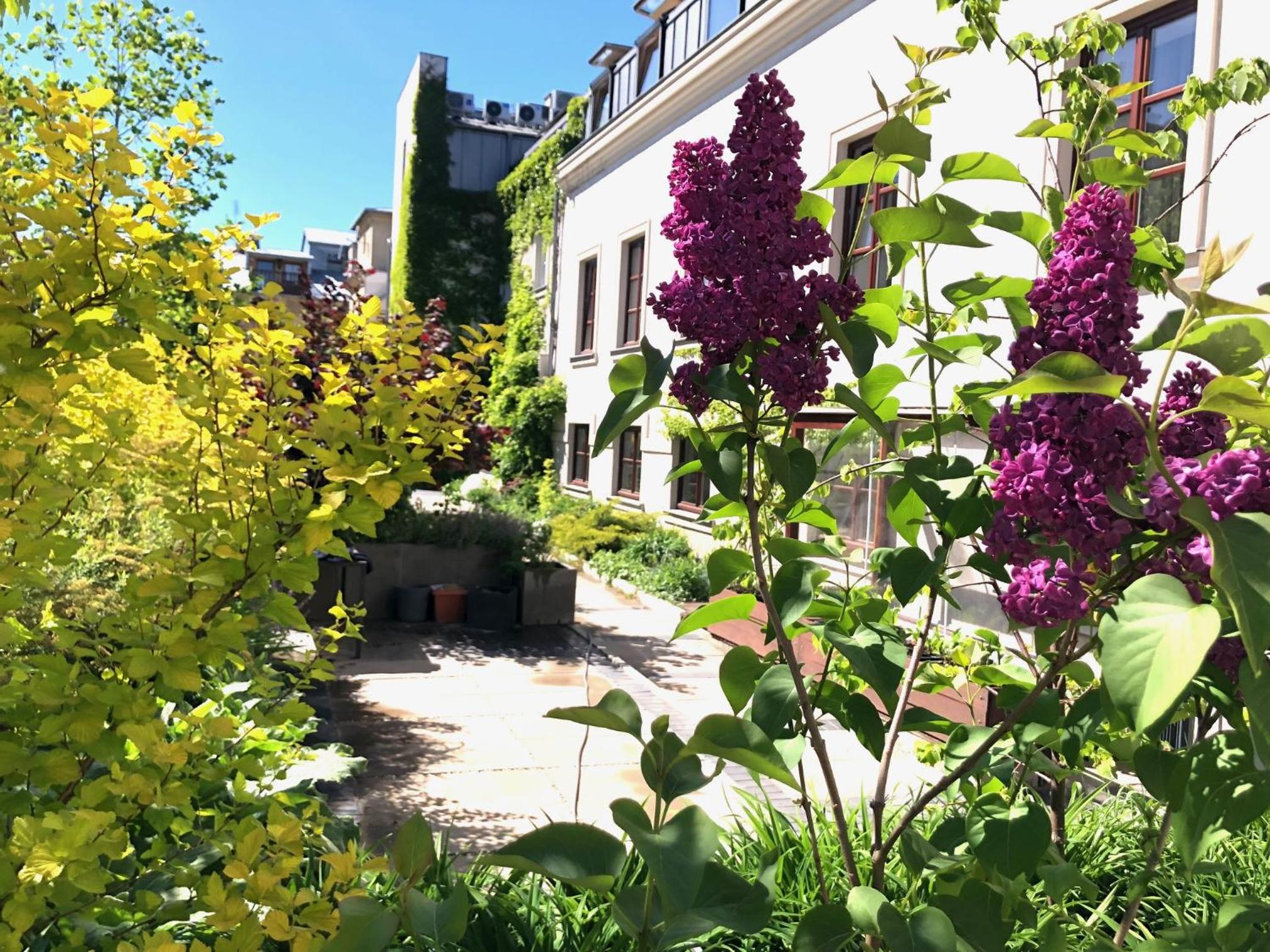 garden