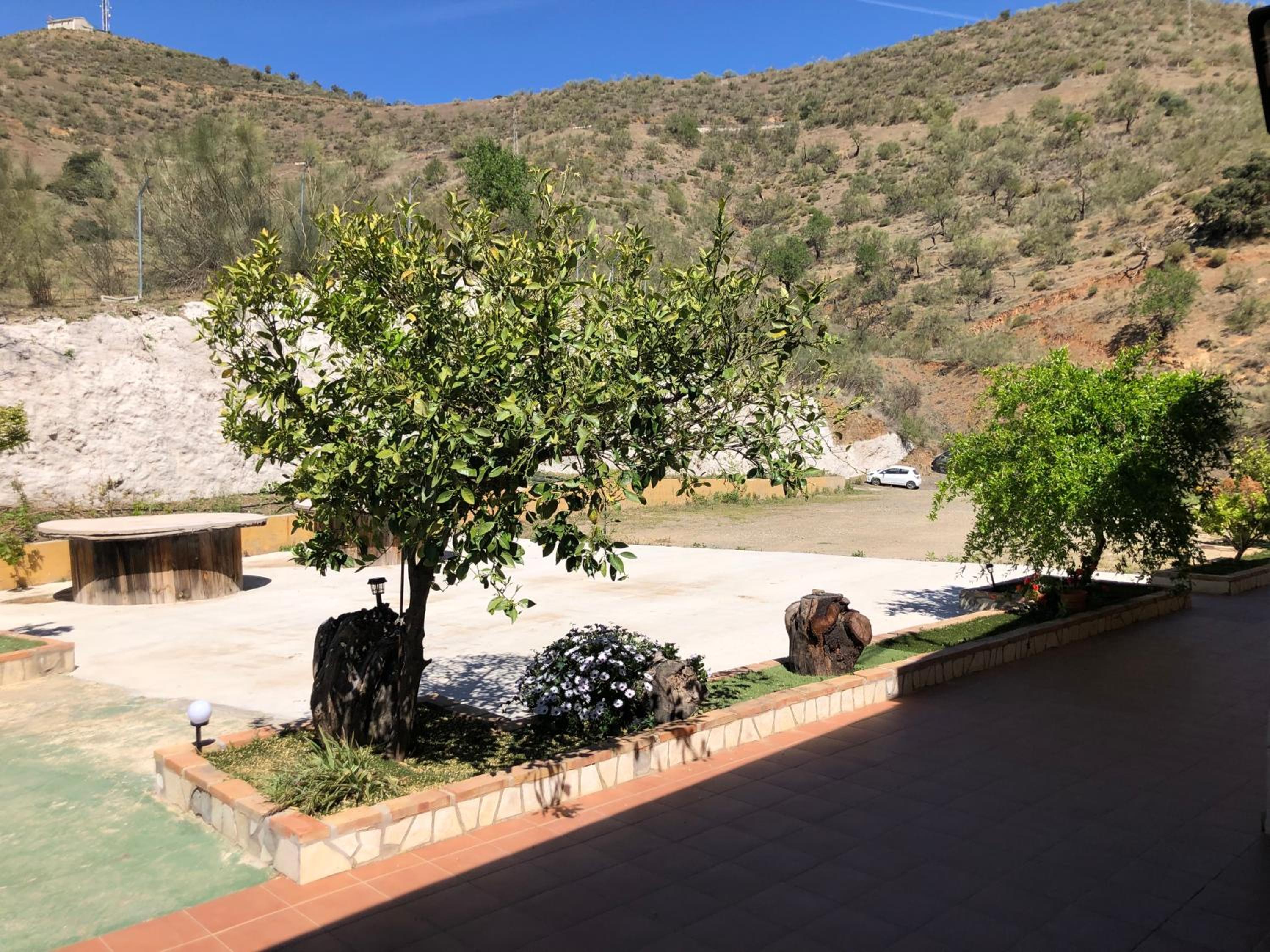 Mirador Del Burro