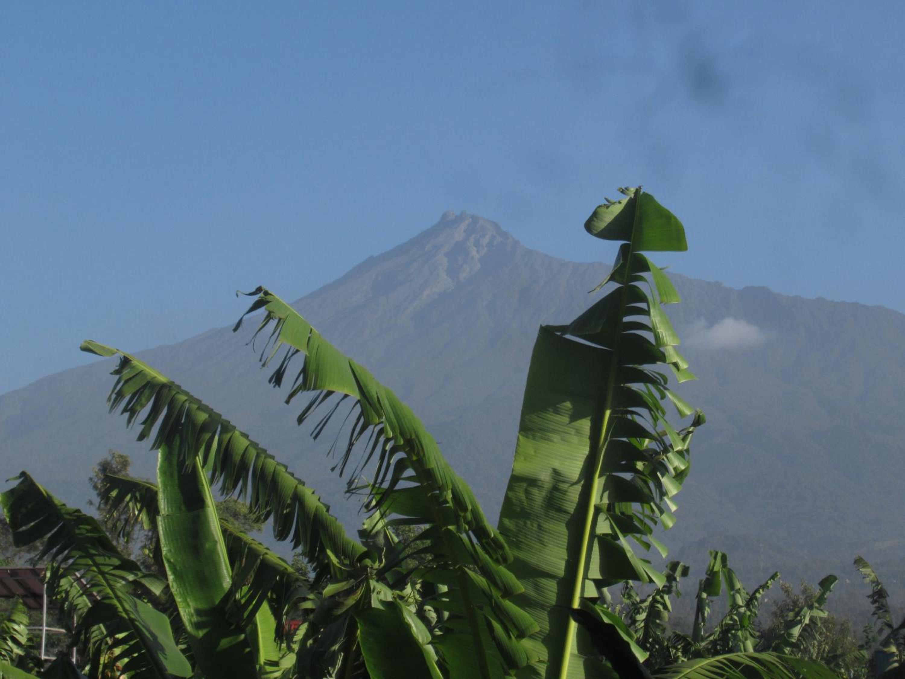 Darema Homestay