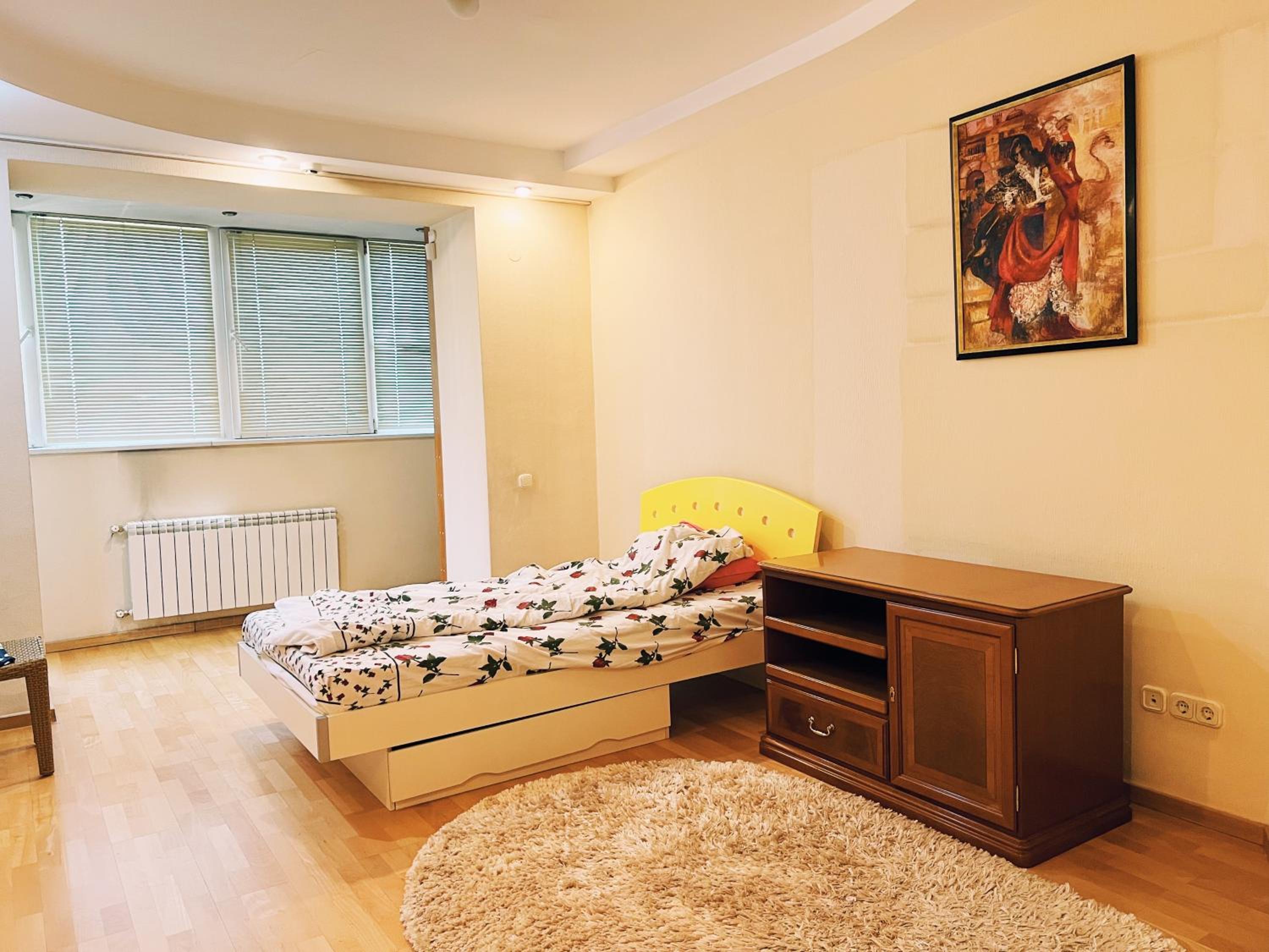 Large cozy appartment in the heart of city center view 4