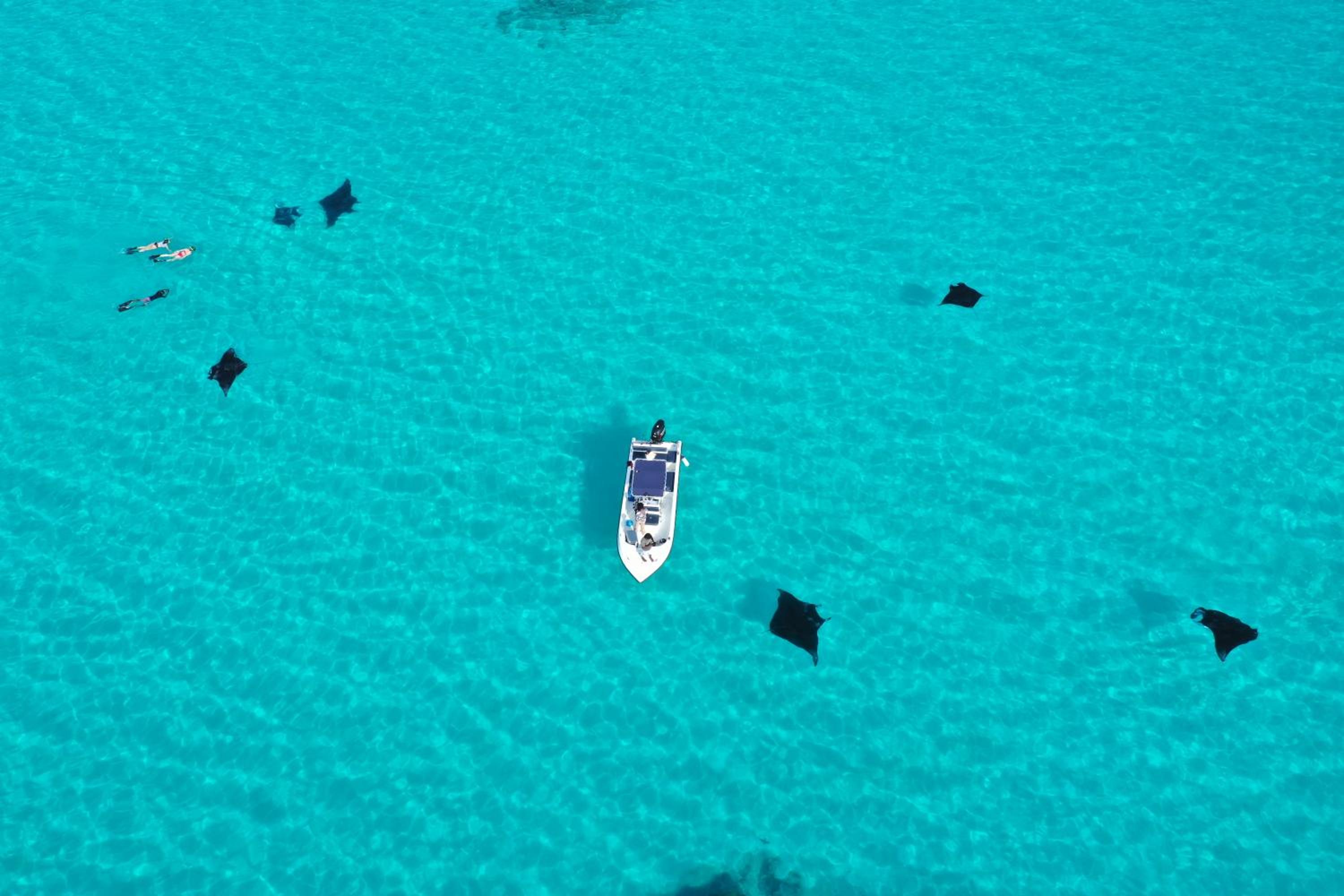 Salt Villa Ukulhas photo 2