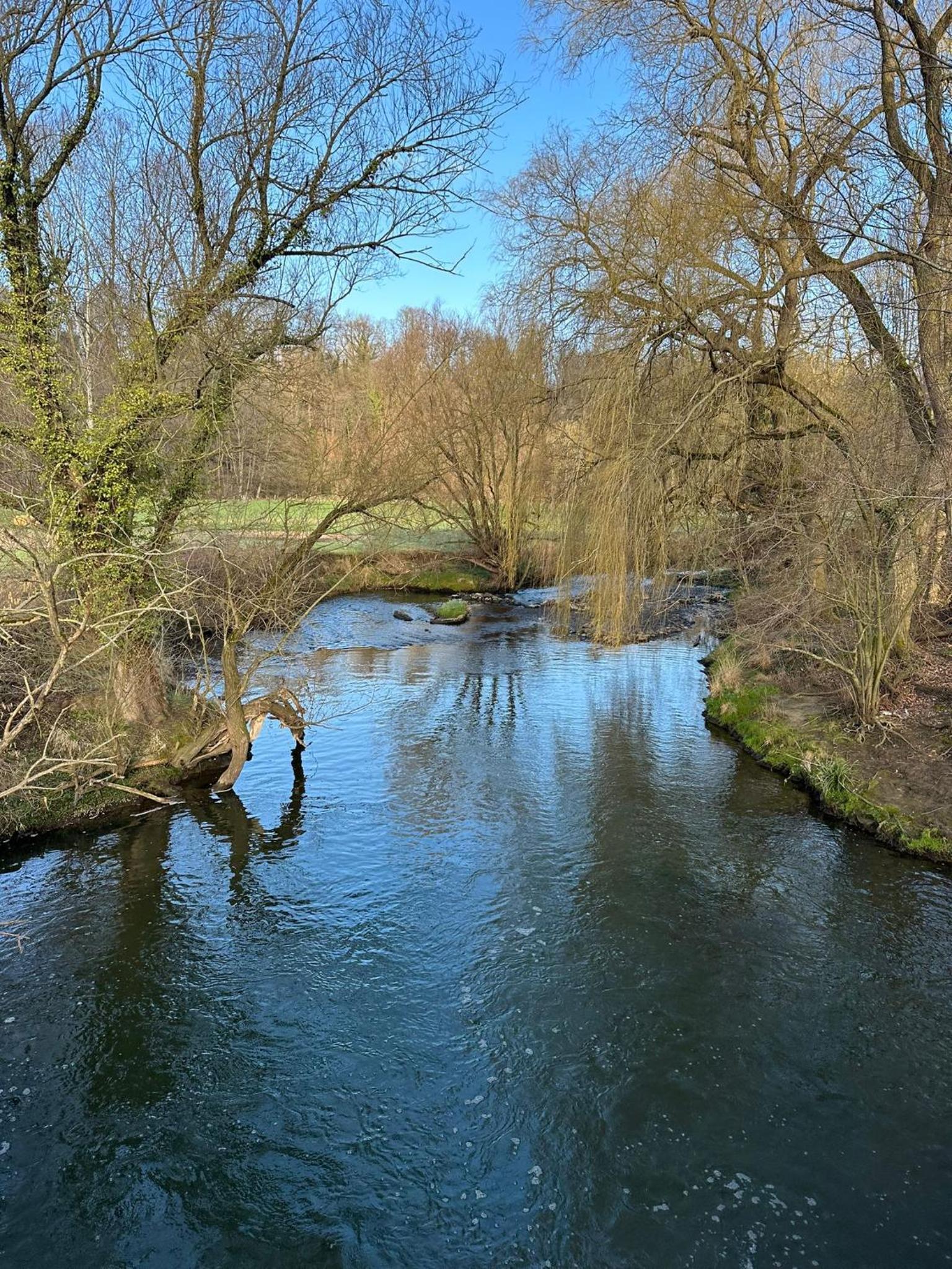 Apartment nahe Naturschutzgebiet „Wurmtal“