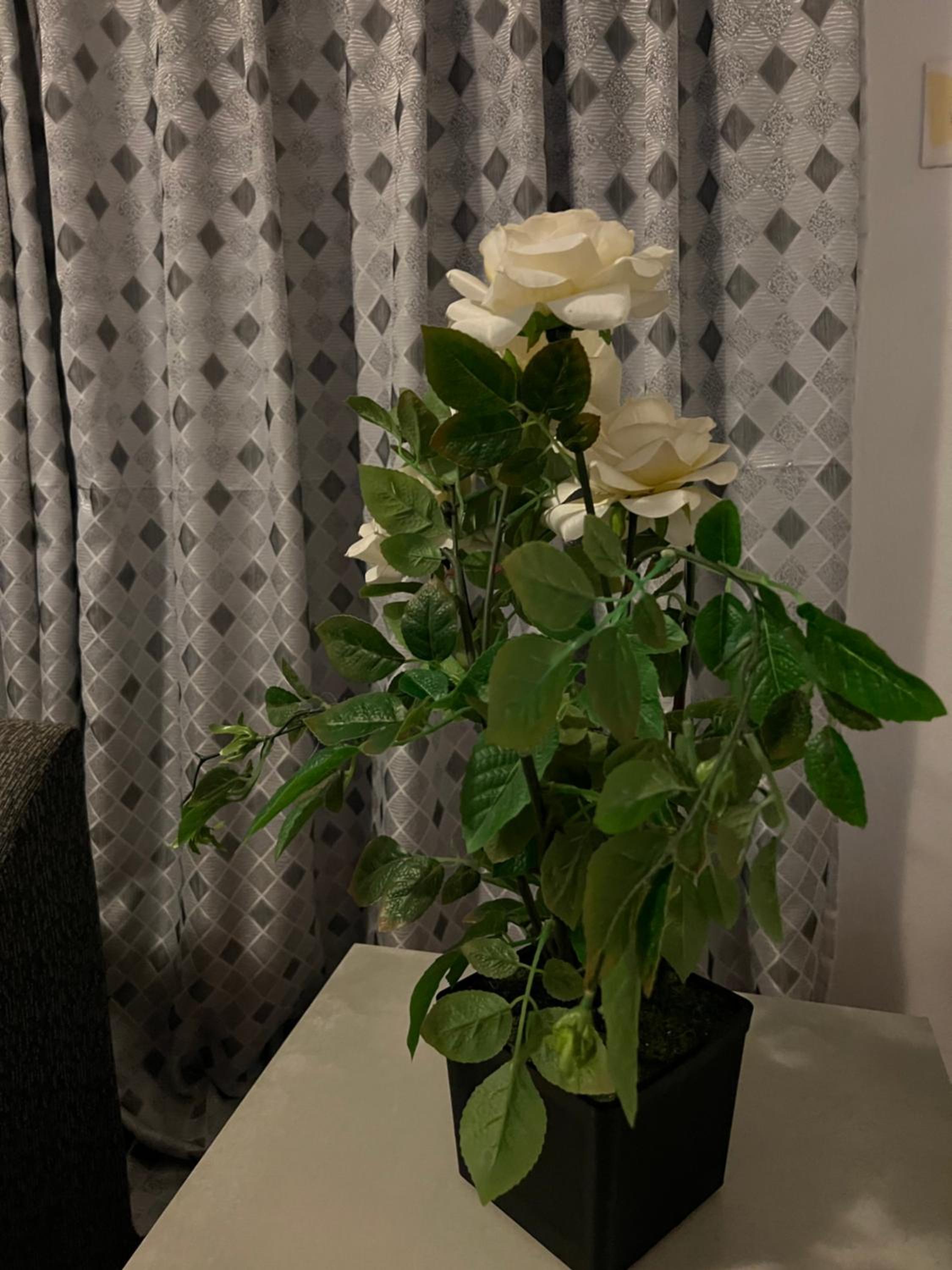 Photo 35