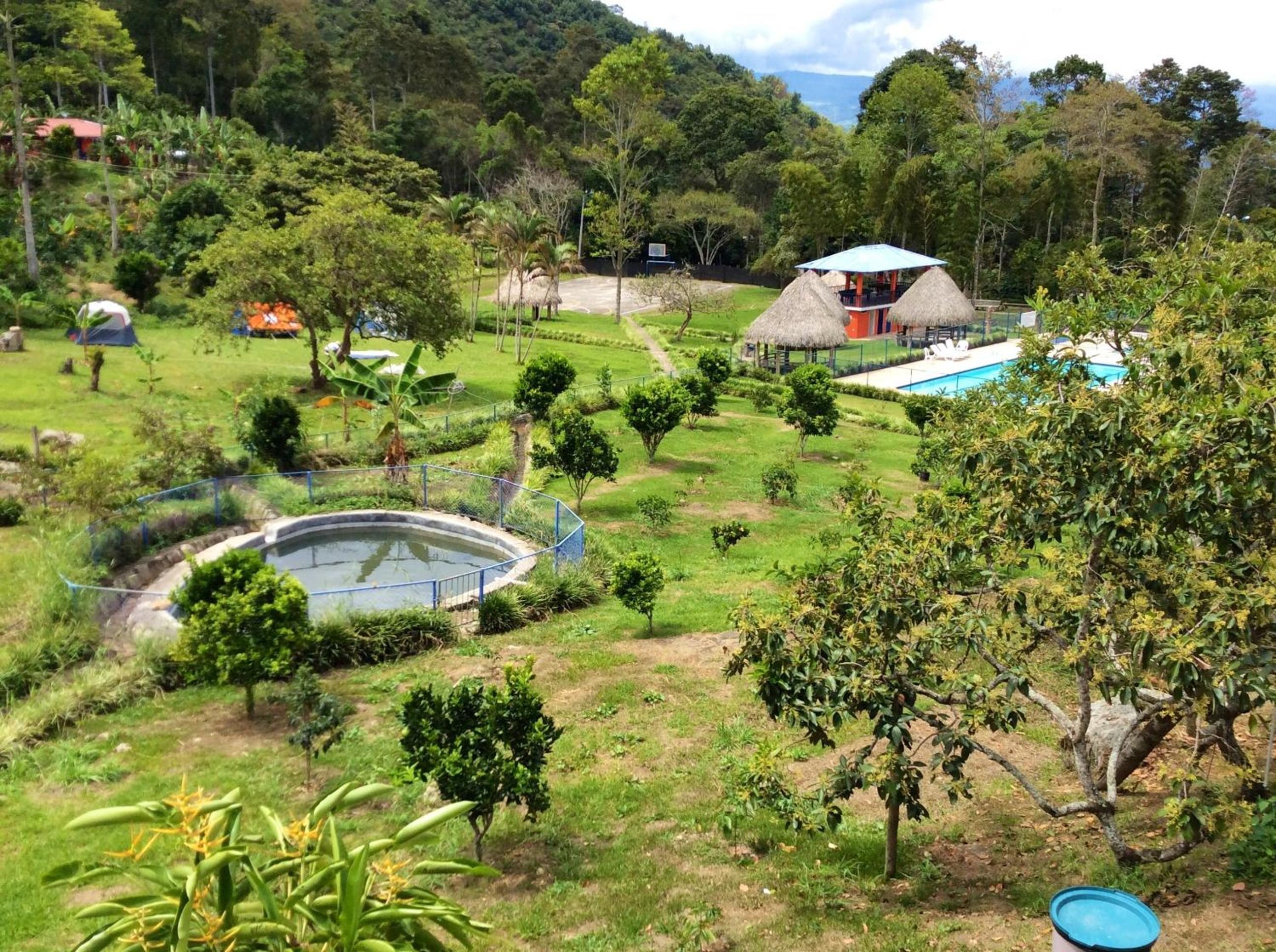 Las Mercedes Finca Cafetera