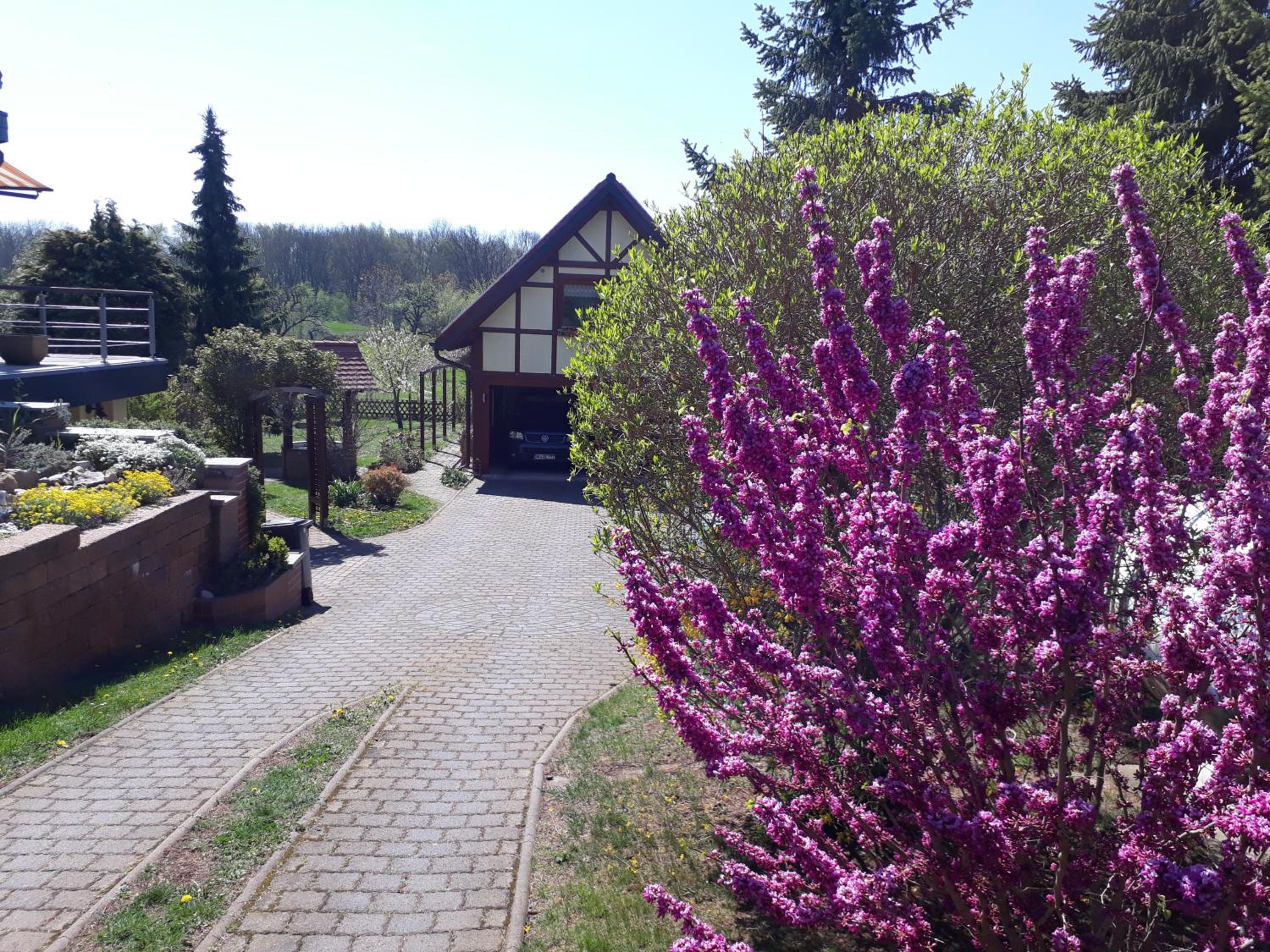 Ferienwohnung zur Saaleaue