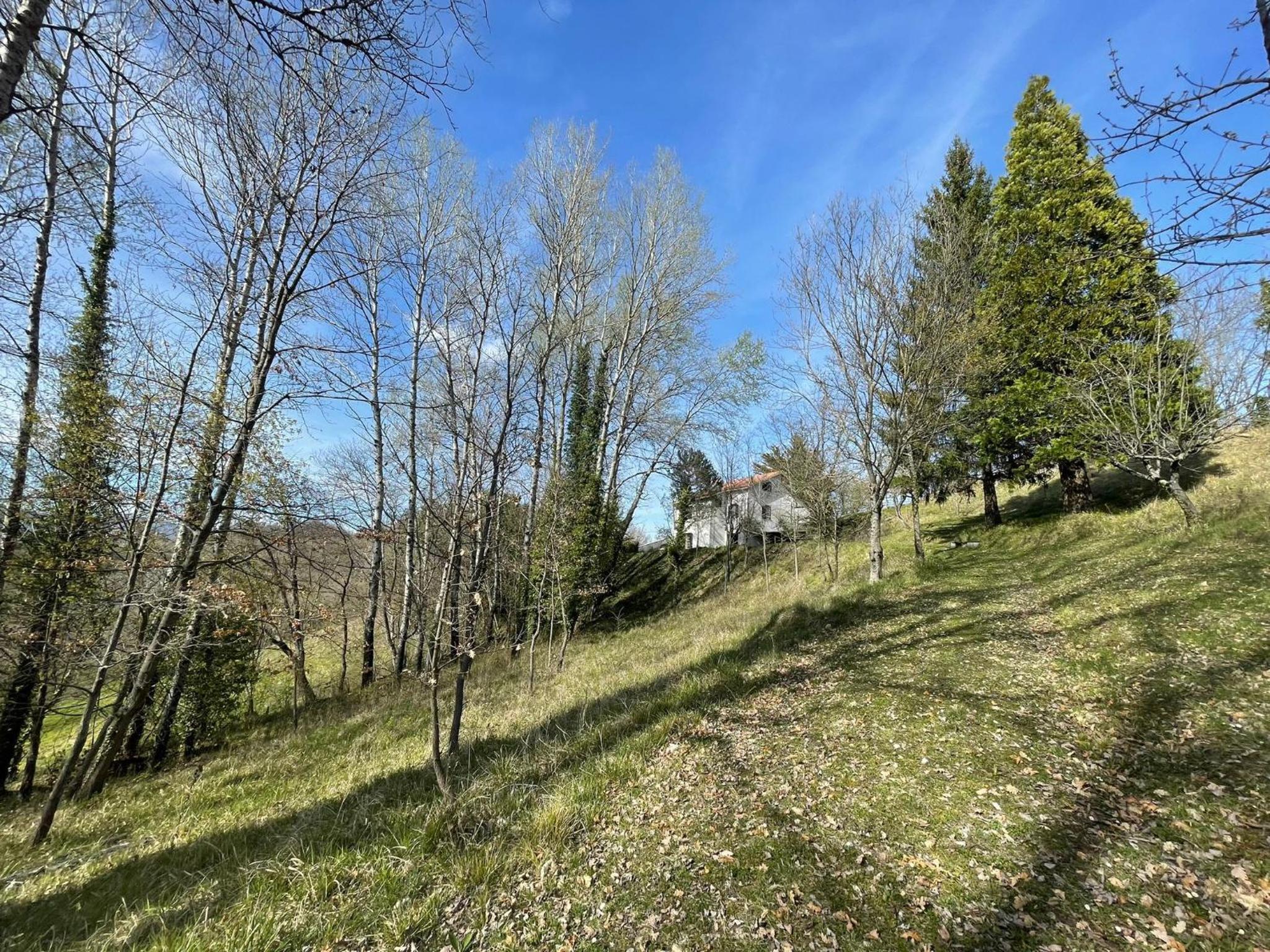 il casale di Bruno e Pina view 5