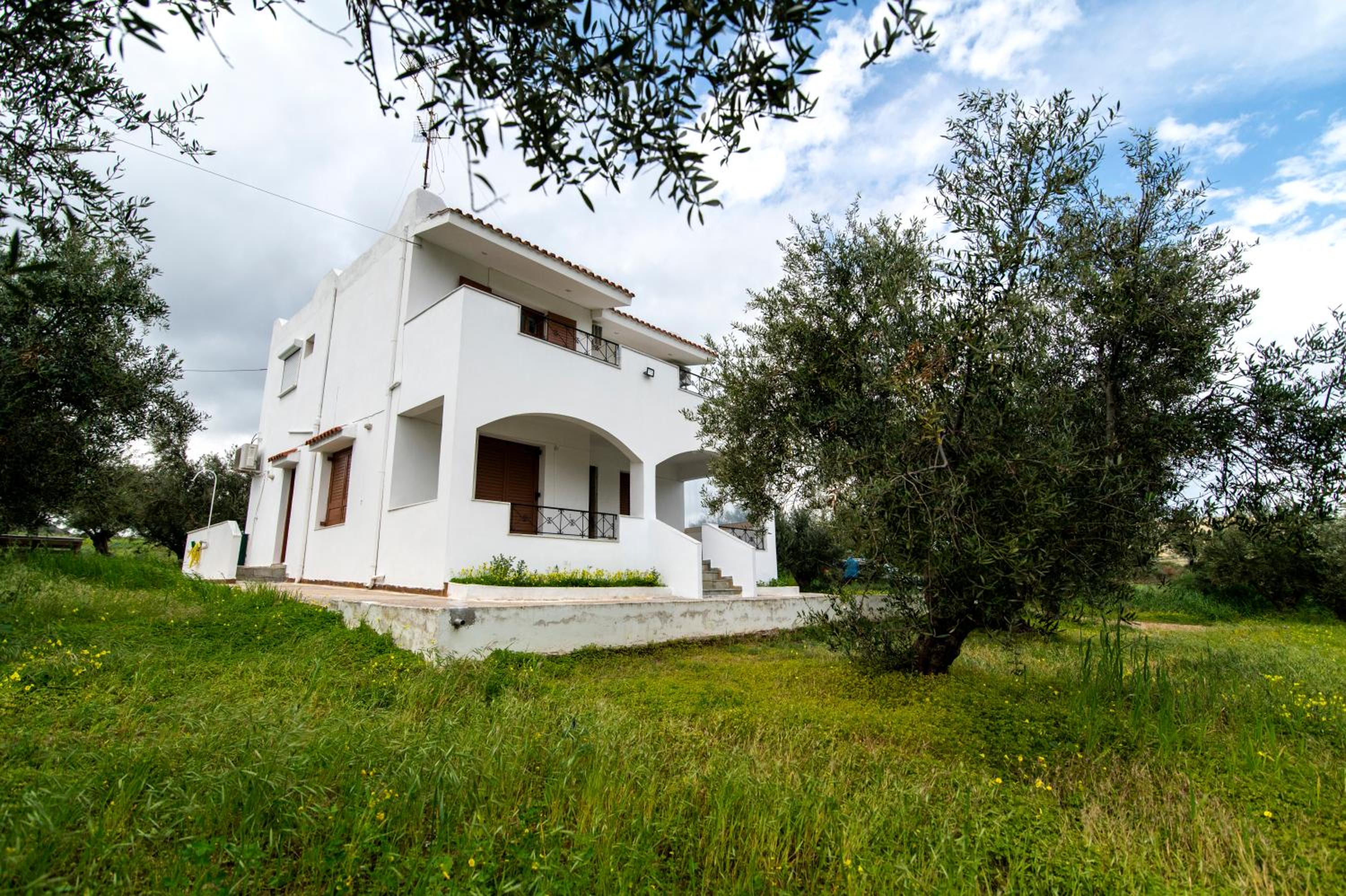 Uliveto 3bd Rustic House view 4