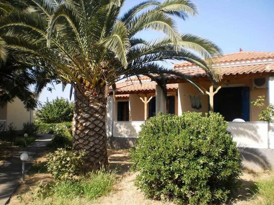 Bird Watching Oasis Skala Kallonis