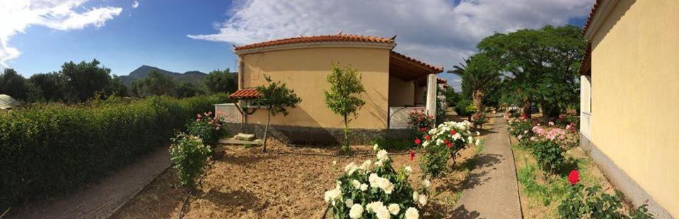 Bird Watching Oasis Skala Kallonis
