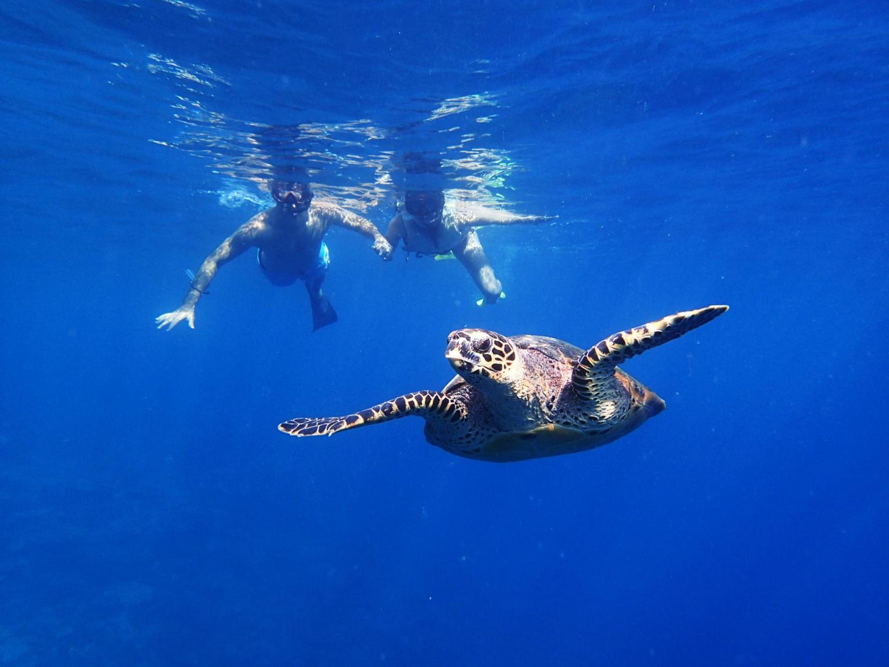 Holiday Inn Resort Kandooma Maldives - Kids Stay & Eat Free and Free Roundtrip Speed Boat for a minimum 4 nights stay — photo 93