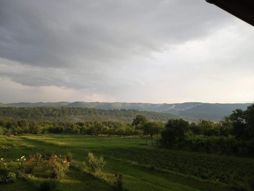 Pensiunea La Poarta Bucovinei