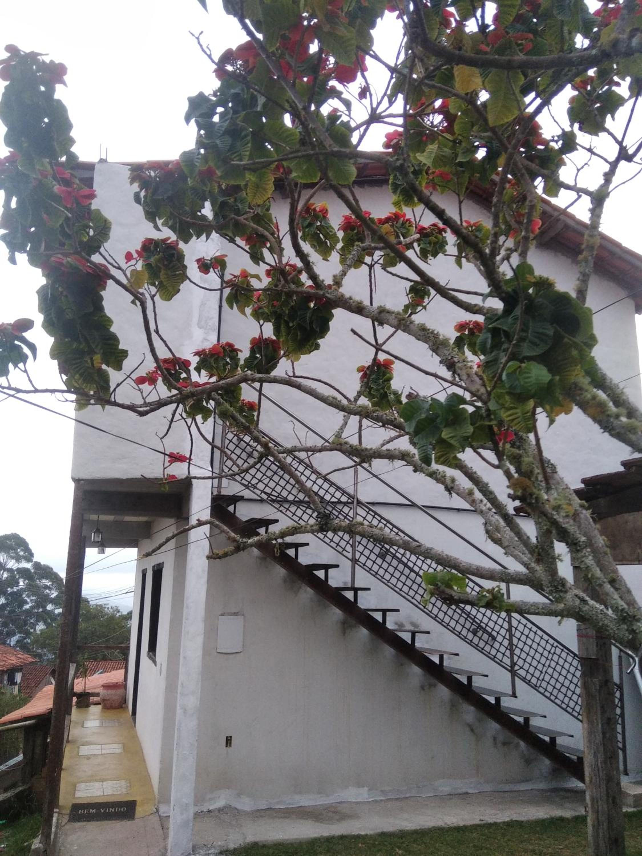 Chalé Suite do chá