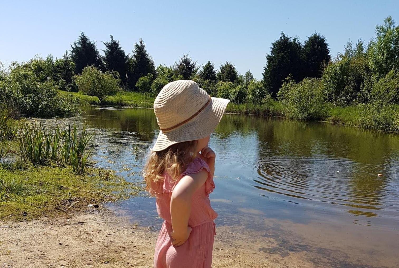 Photo 16