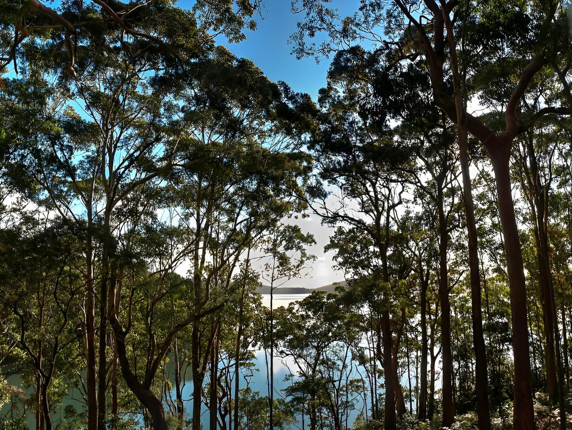Aqua Vista