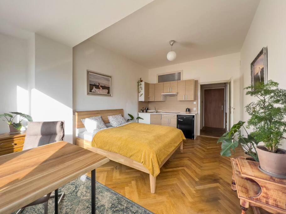 Concept Central apartment