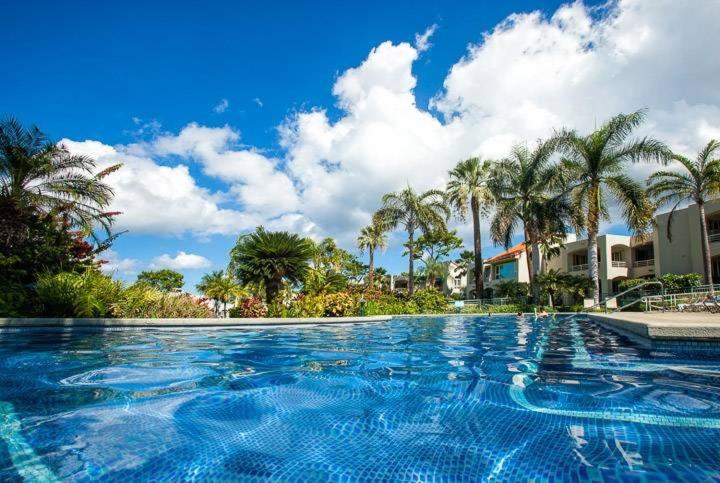 Palms at Wailea Two Bedrooms - Ocean View by Coldwell Banker Island Vacations view 4