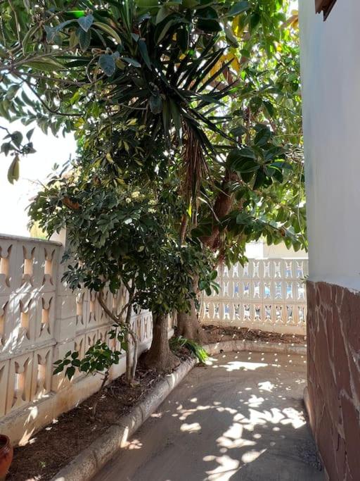 Casa de alquiler Moncófar Playa