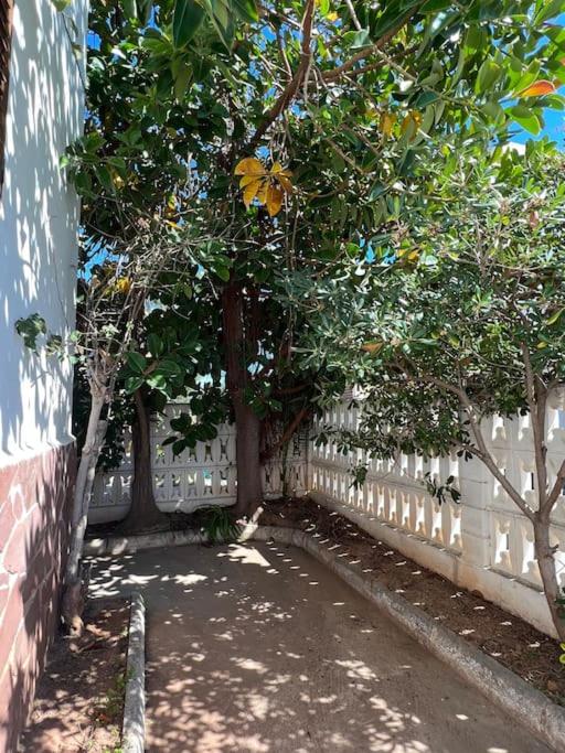 Casa de alquiler Moncófar Playa