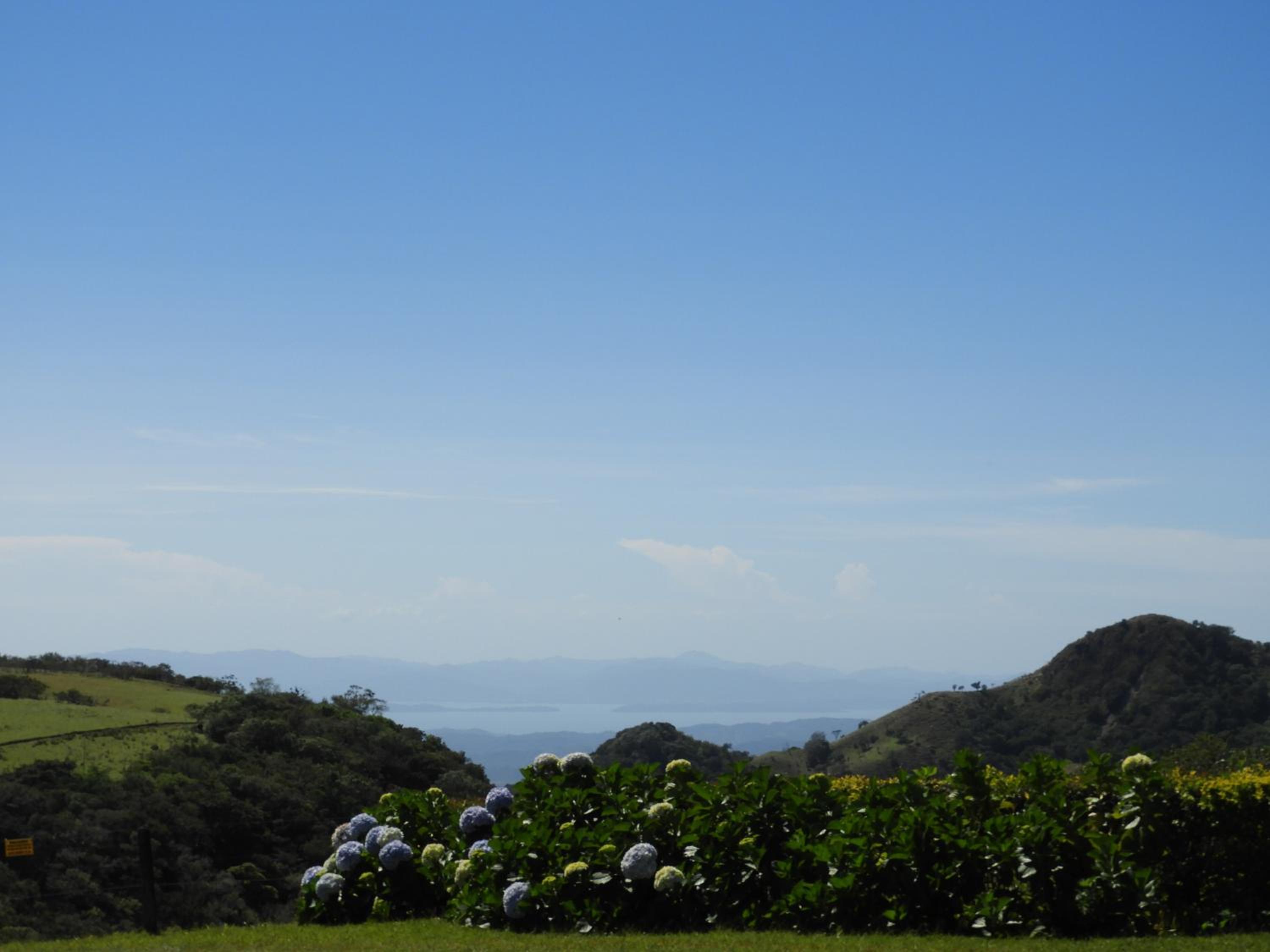 Campo Azul #3 - Monteverde
