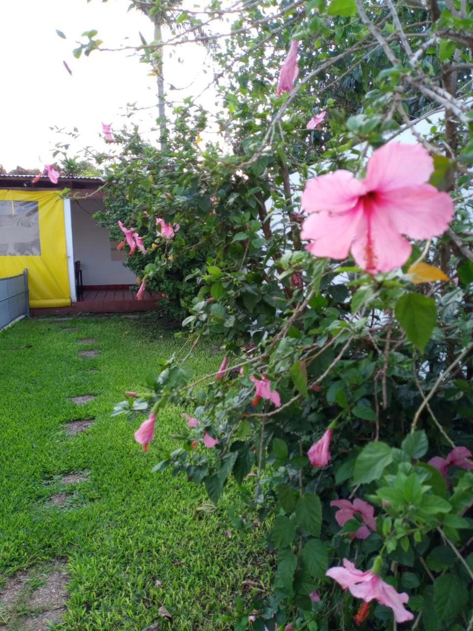Karukinka Departamentos