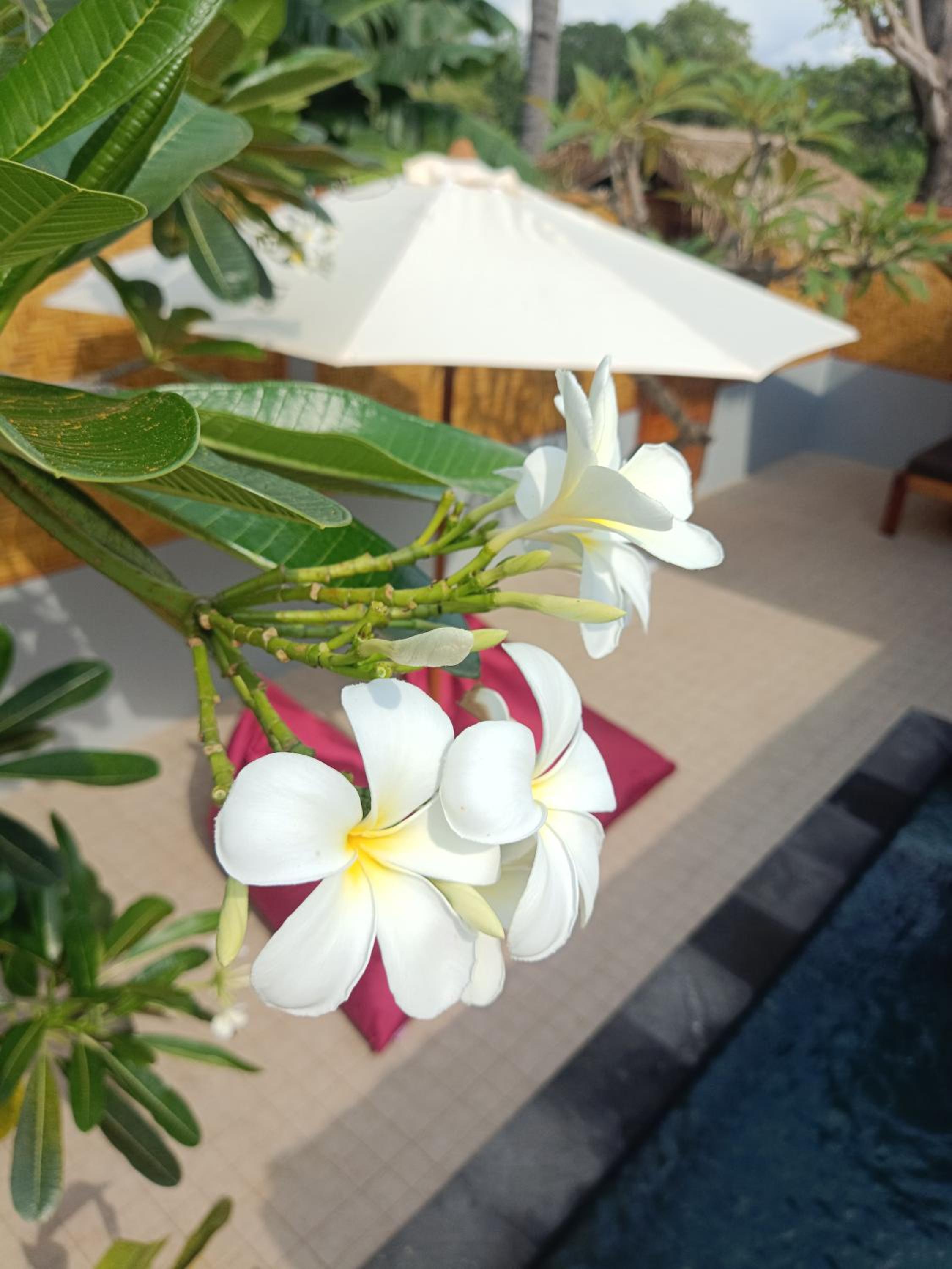 Villa Kinagu