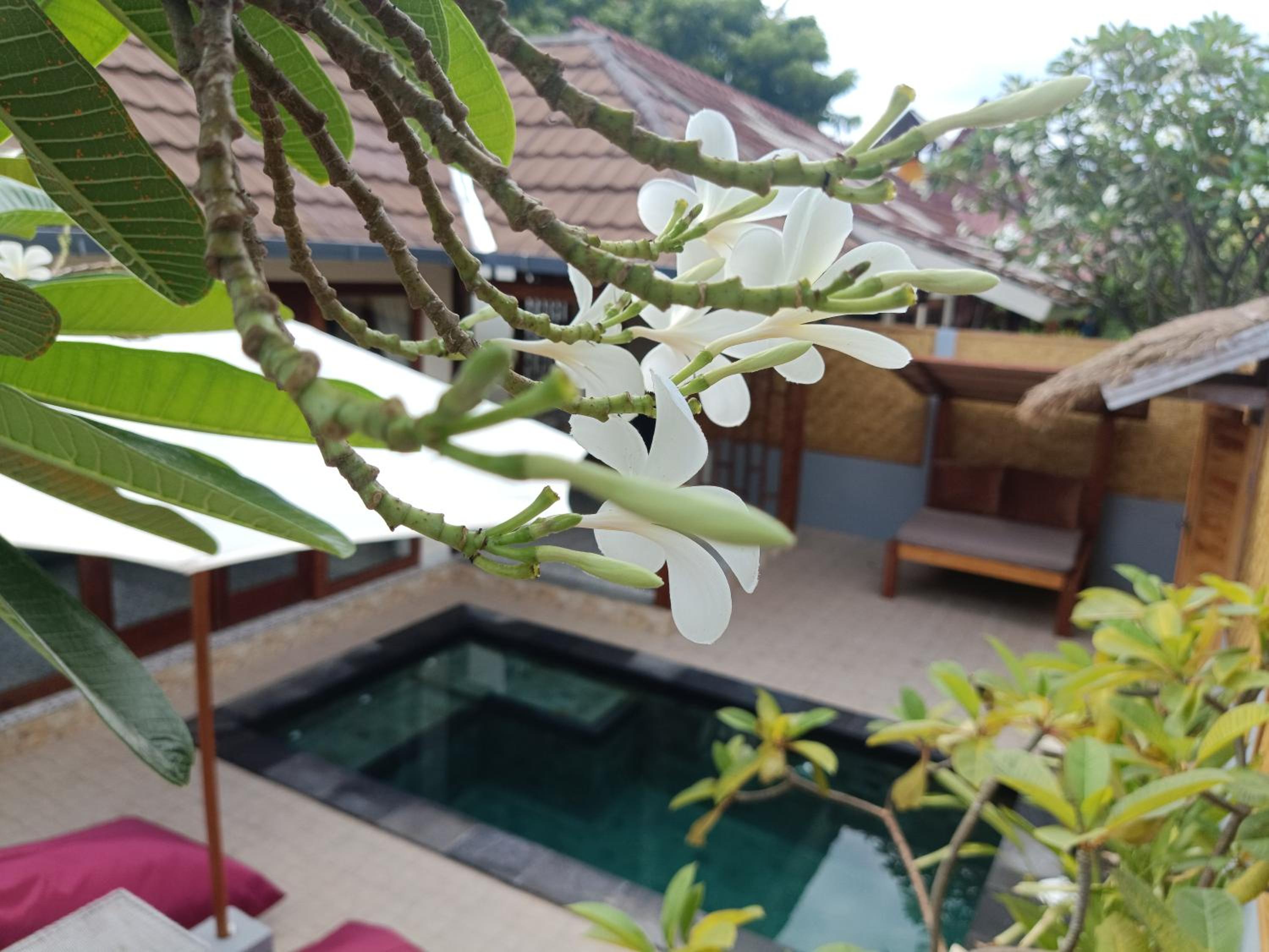 Villa Kinagu
