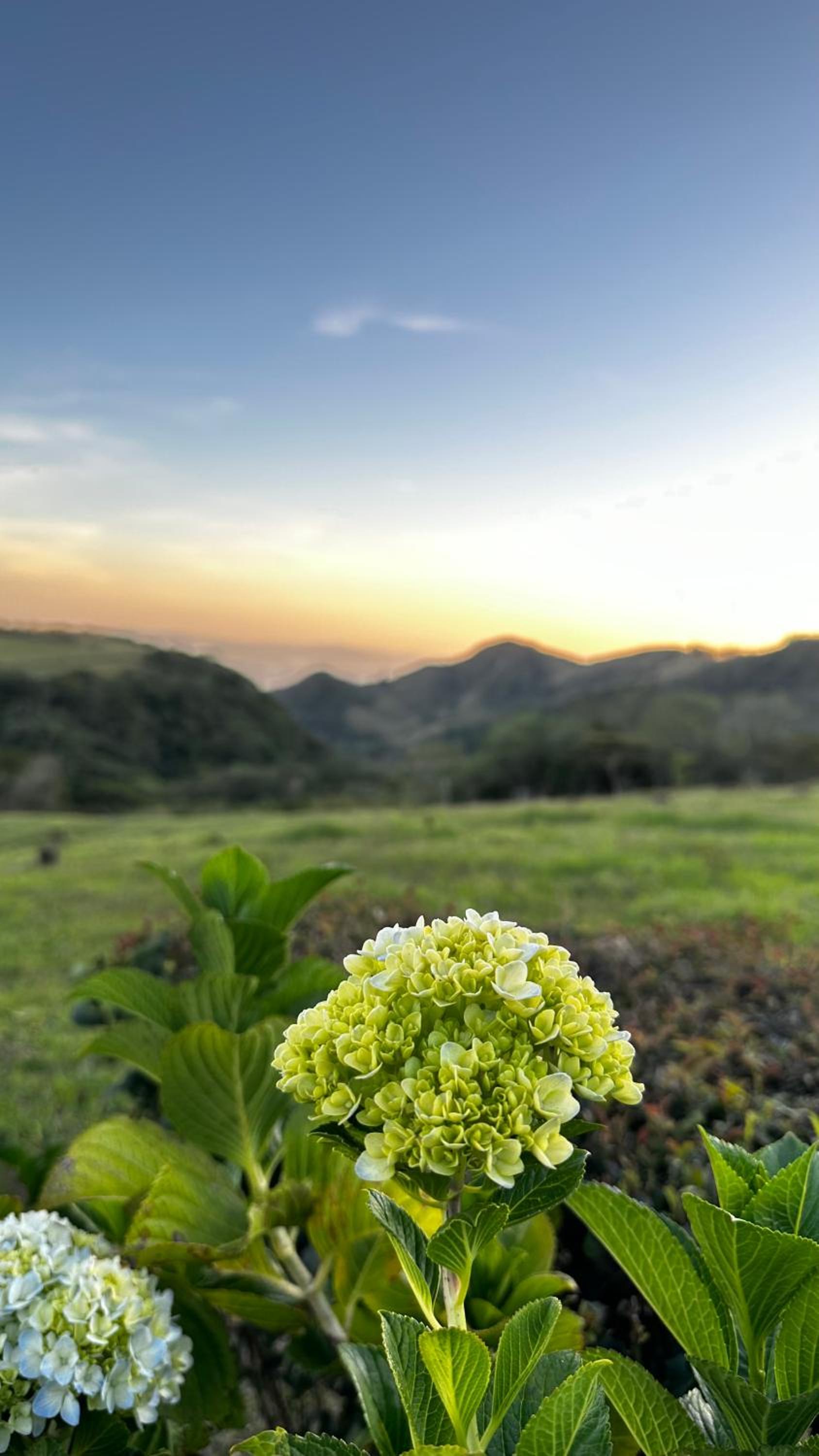 Campo Azul - Monteverde