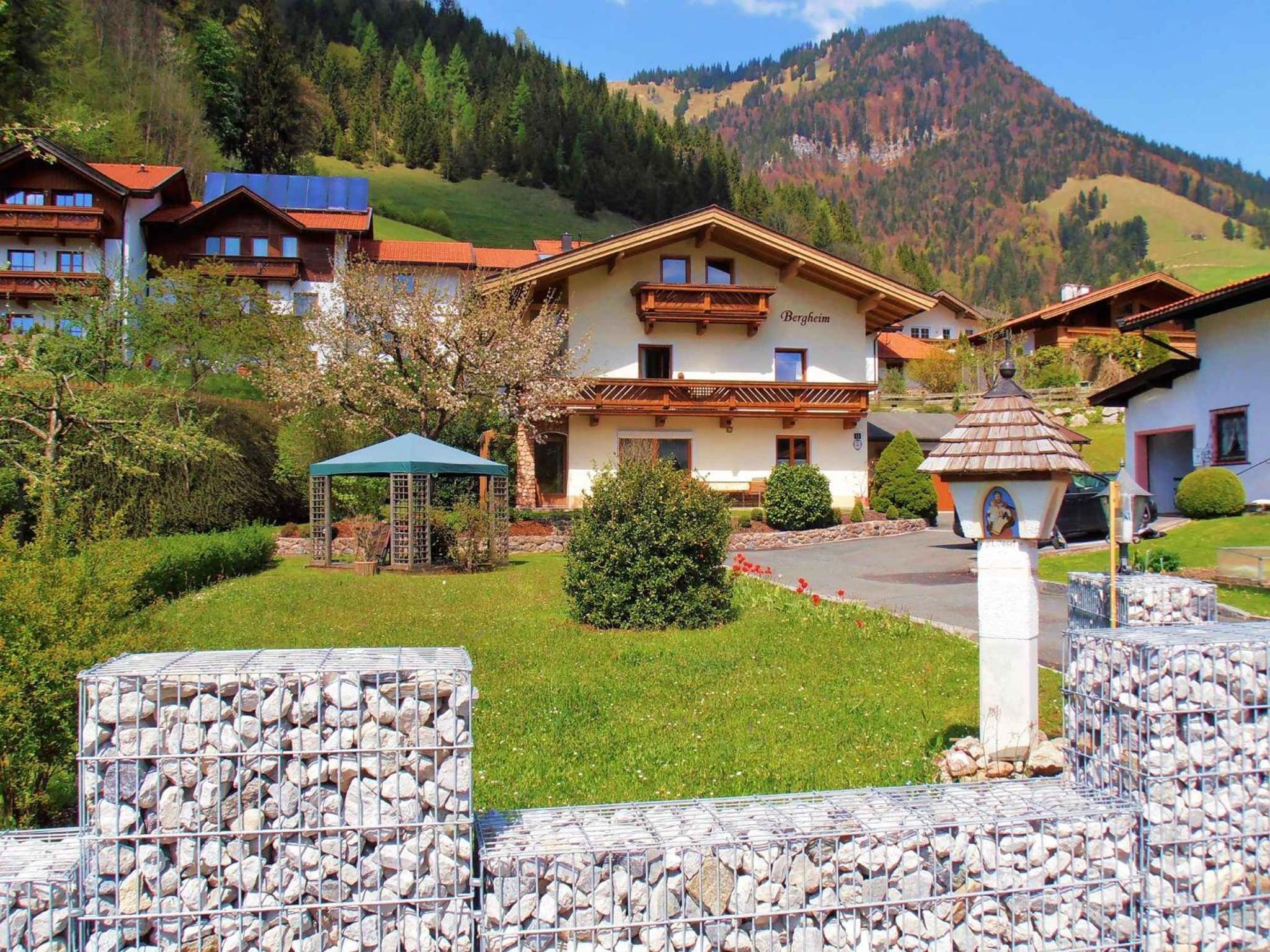 Apartments in Walchsee Kaiserwinkl 489