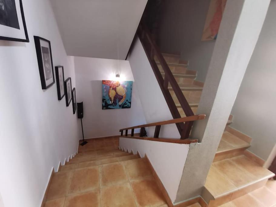 Photo 41