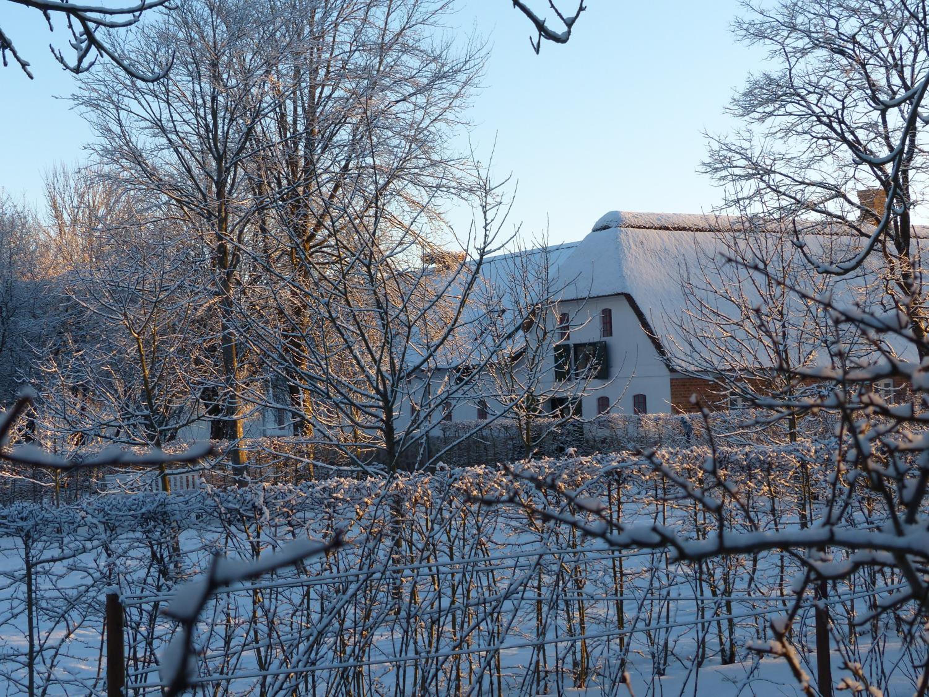 Hesselhogaard Bed & Breakfast