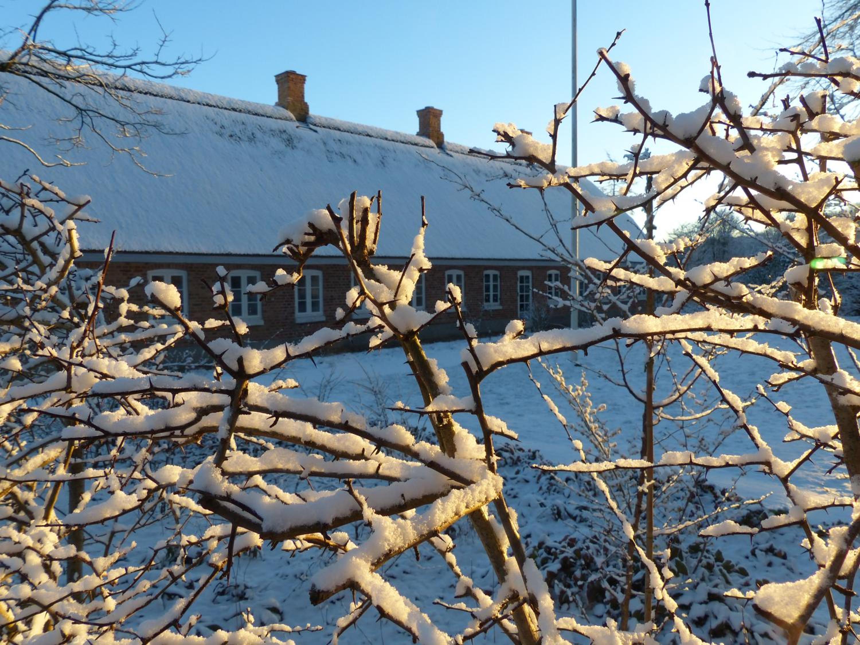 Hesselhogaard Bed & Breakfast