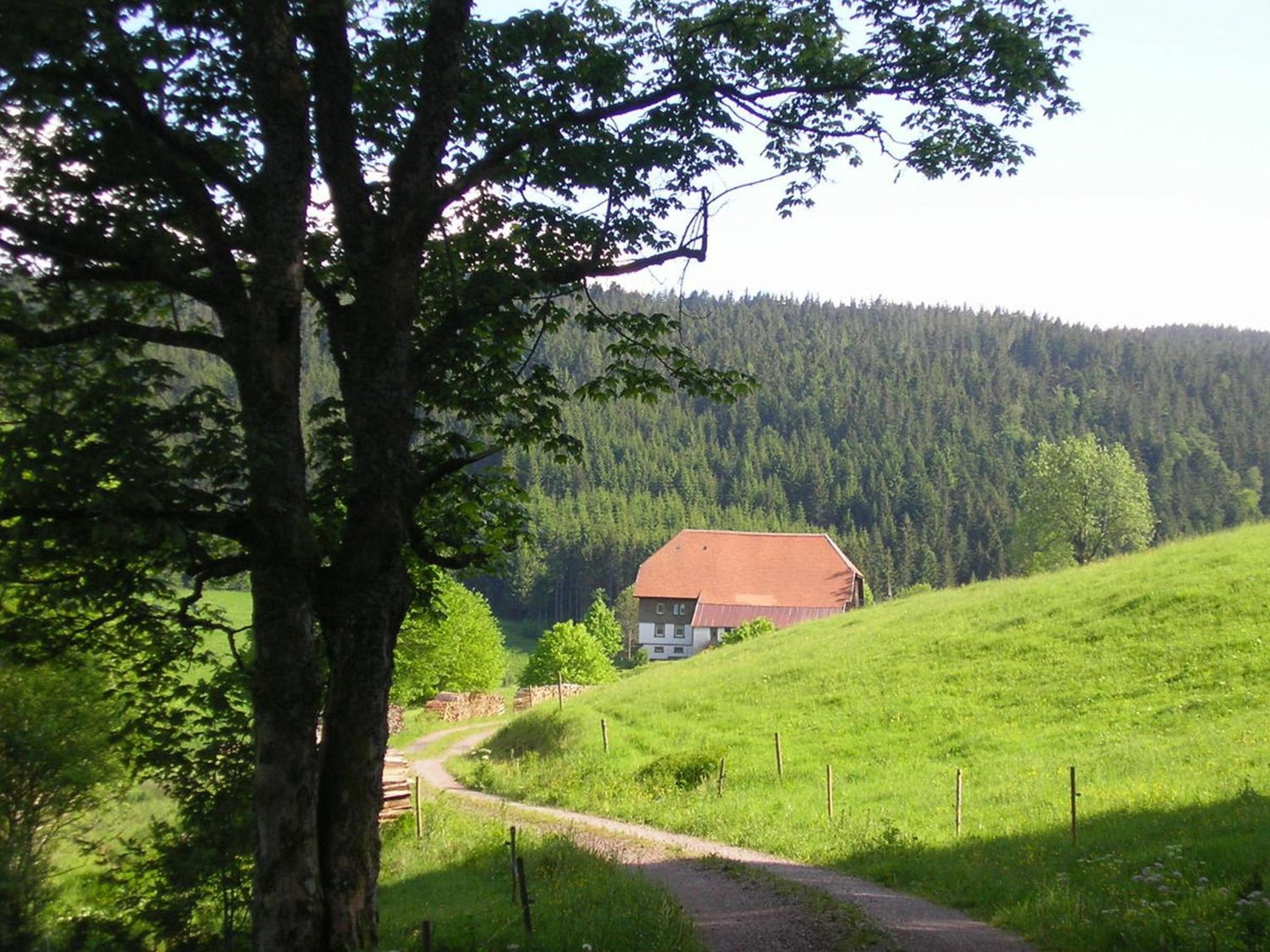 Rutscherhof Breitnau