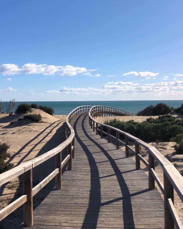 Solarium Escape with private roof terrace and pool access Torrevieja