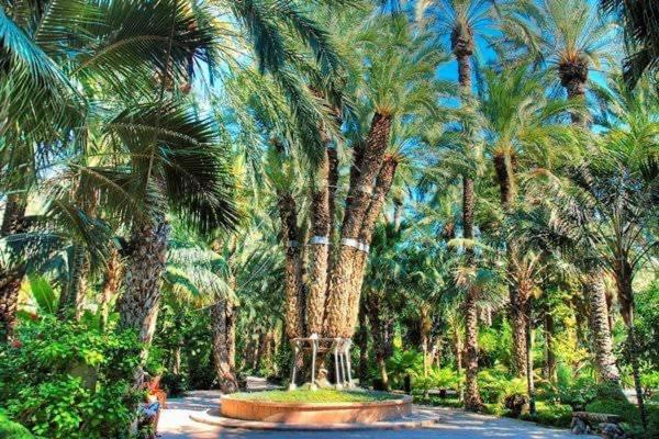 Solarium Escape with private roof terrace and pool access Torrevieja
