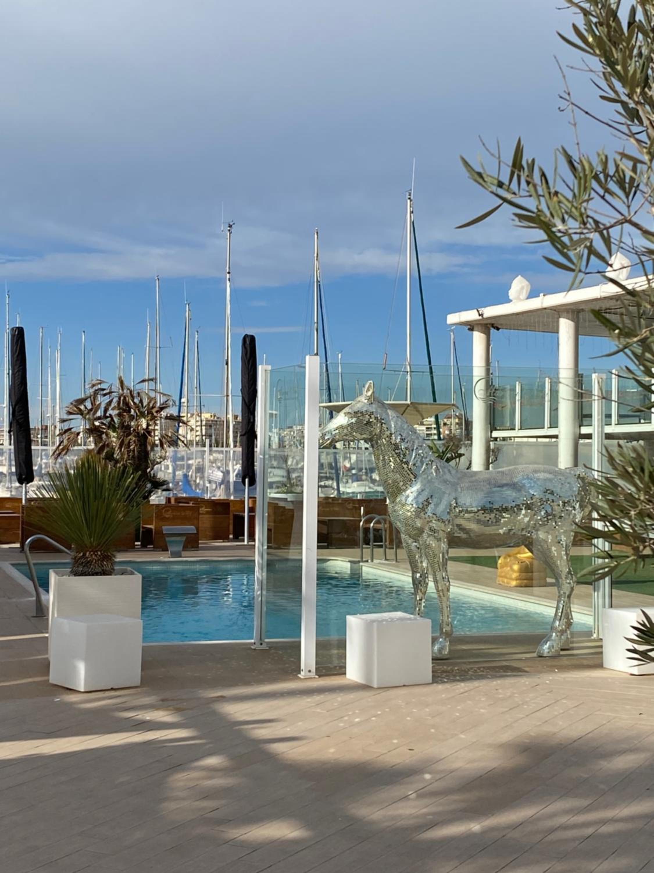 Solarium Escape with private roof terrace and pool access Torrevieja