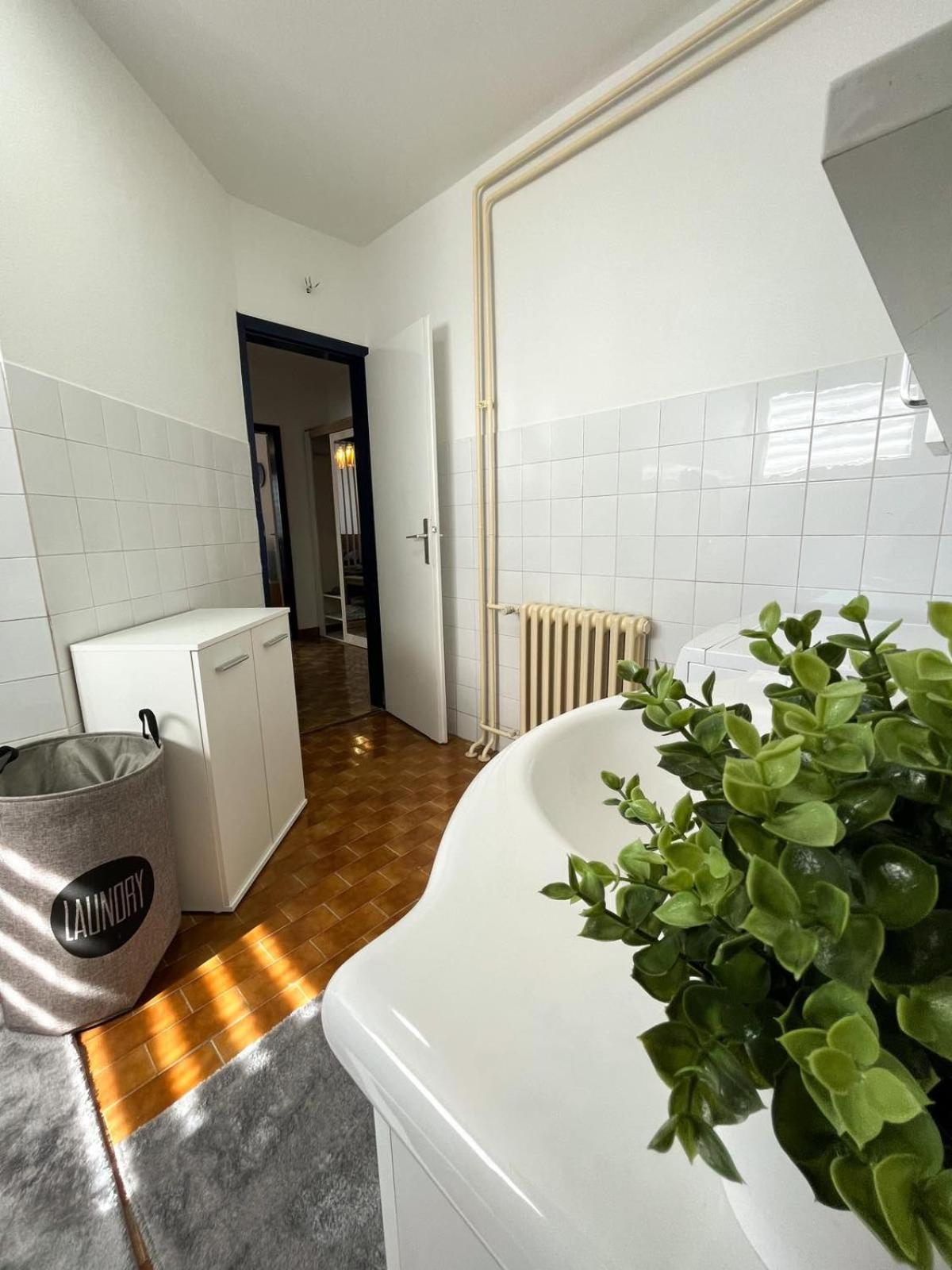Apartman MS