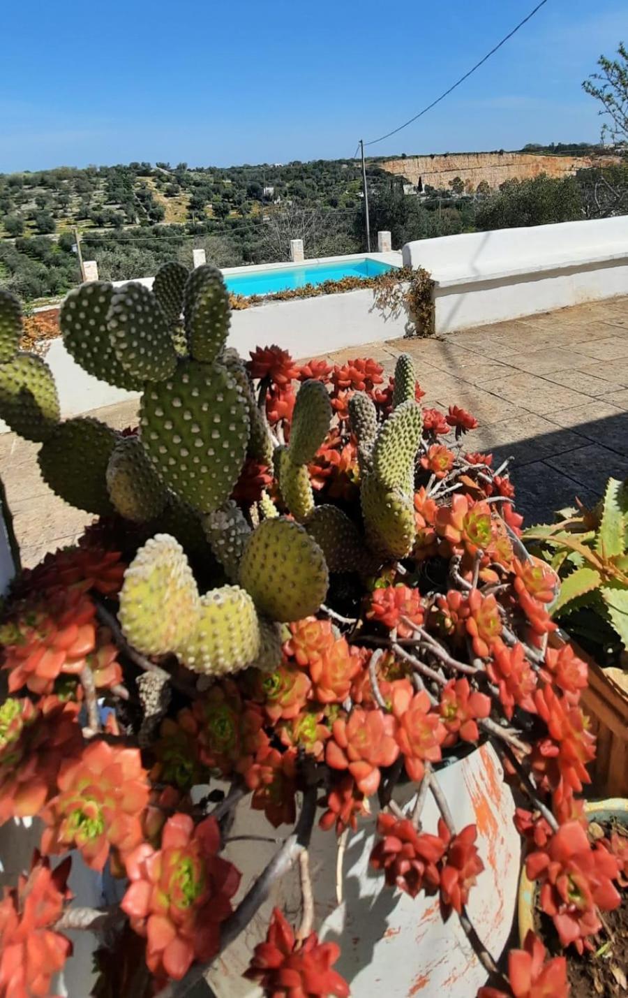 TRULLO PIETRAPOESIA