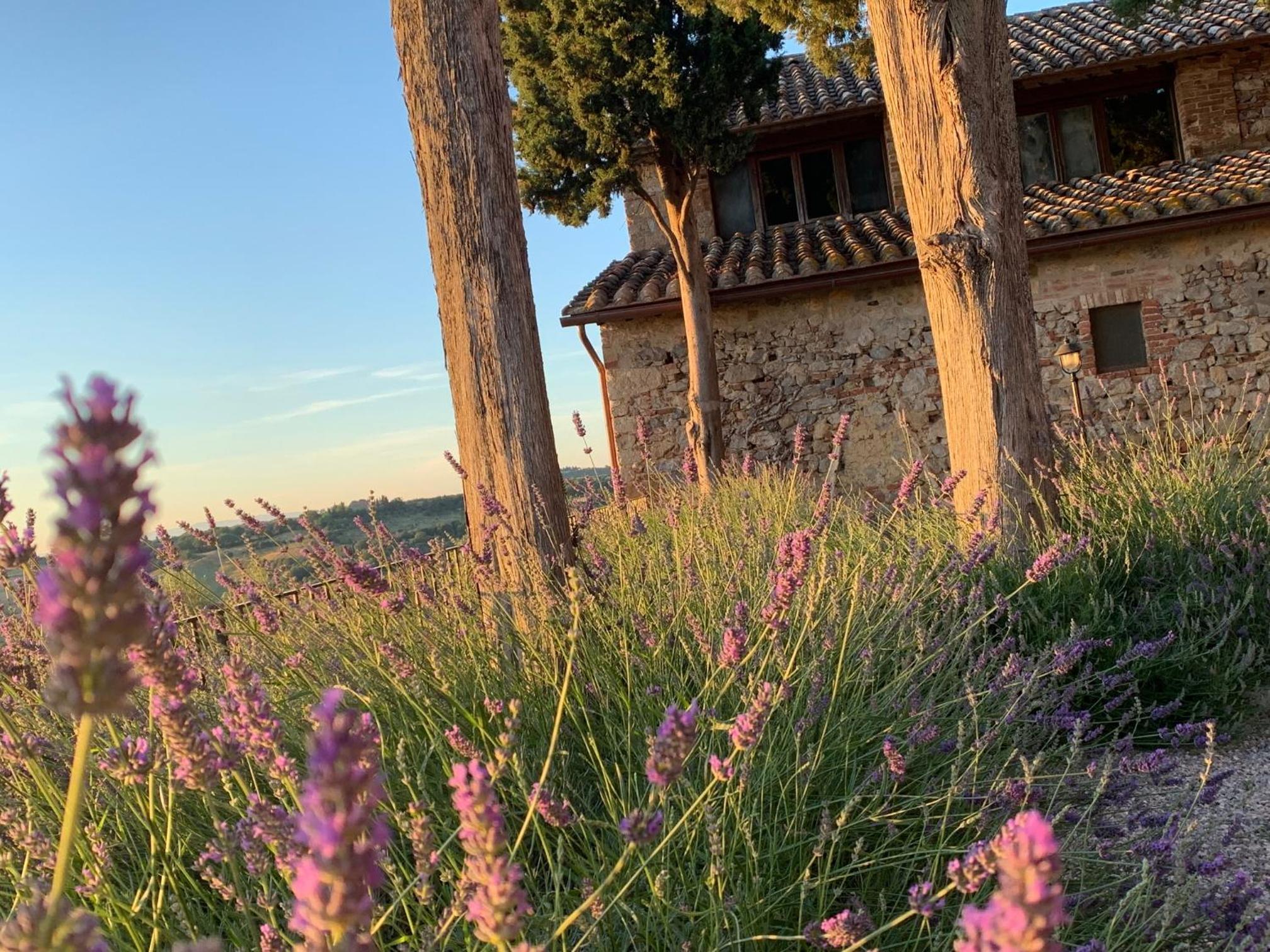 Monastero Sant'Anna in Camprena view 4